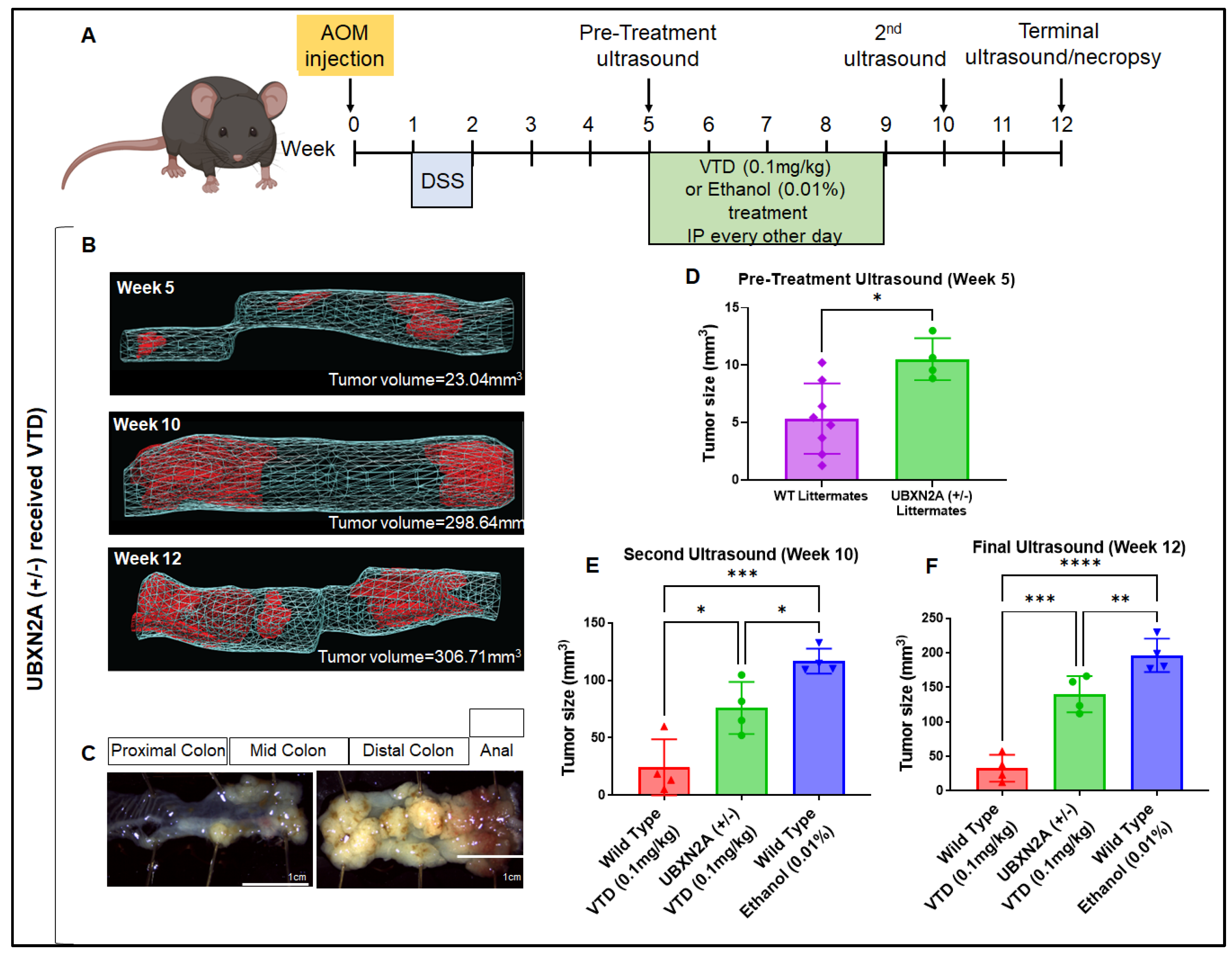 Preprints 173007 g002