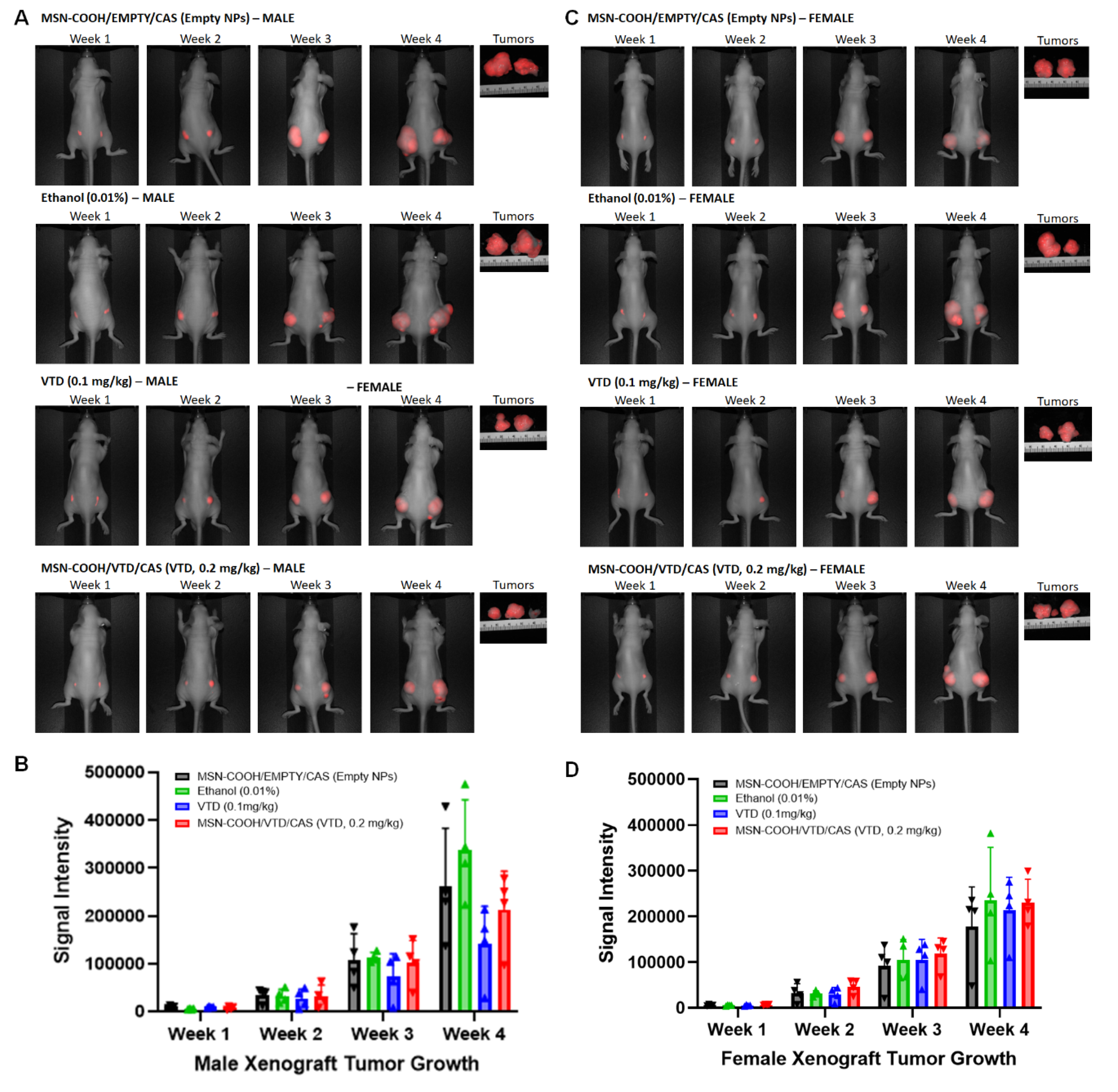 Preprints 173007 g005