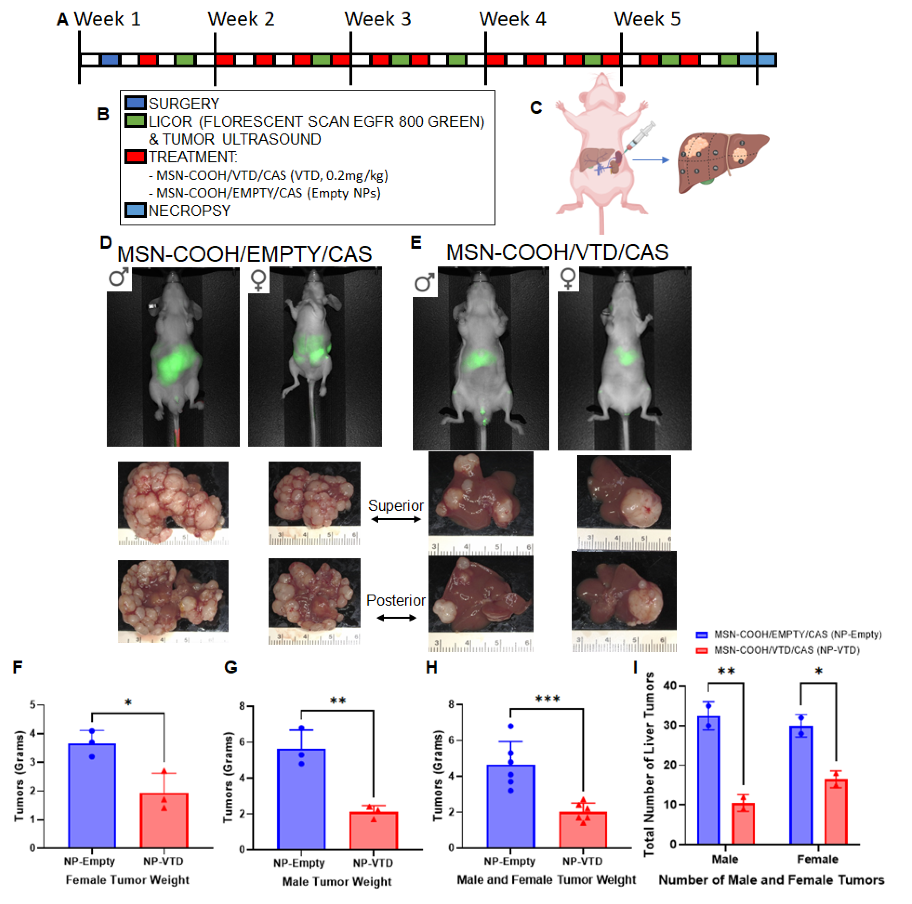 Preprints 173007 g006