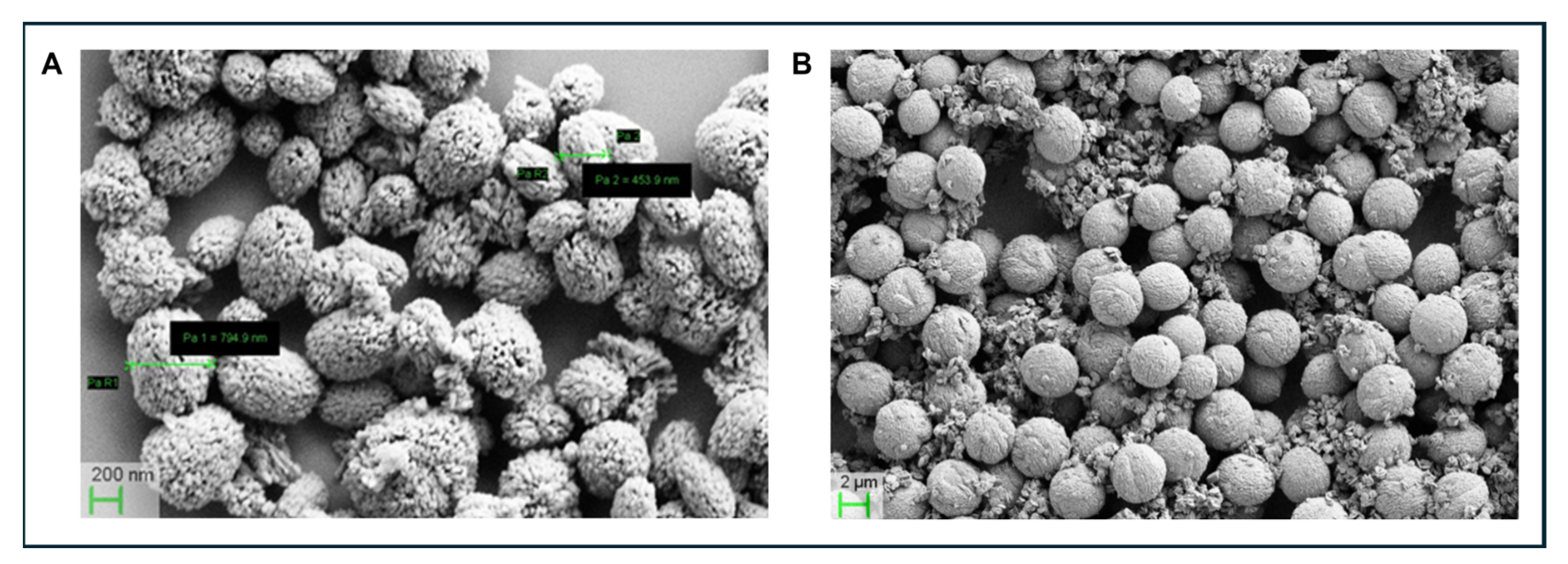 Preprints 173007 g007