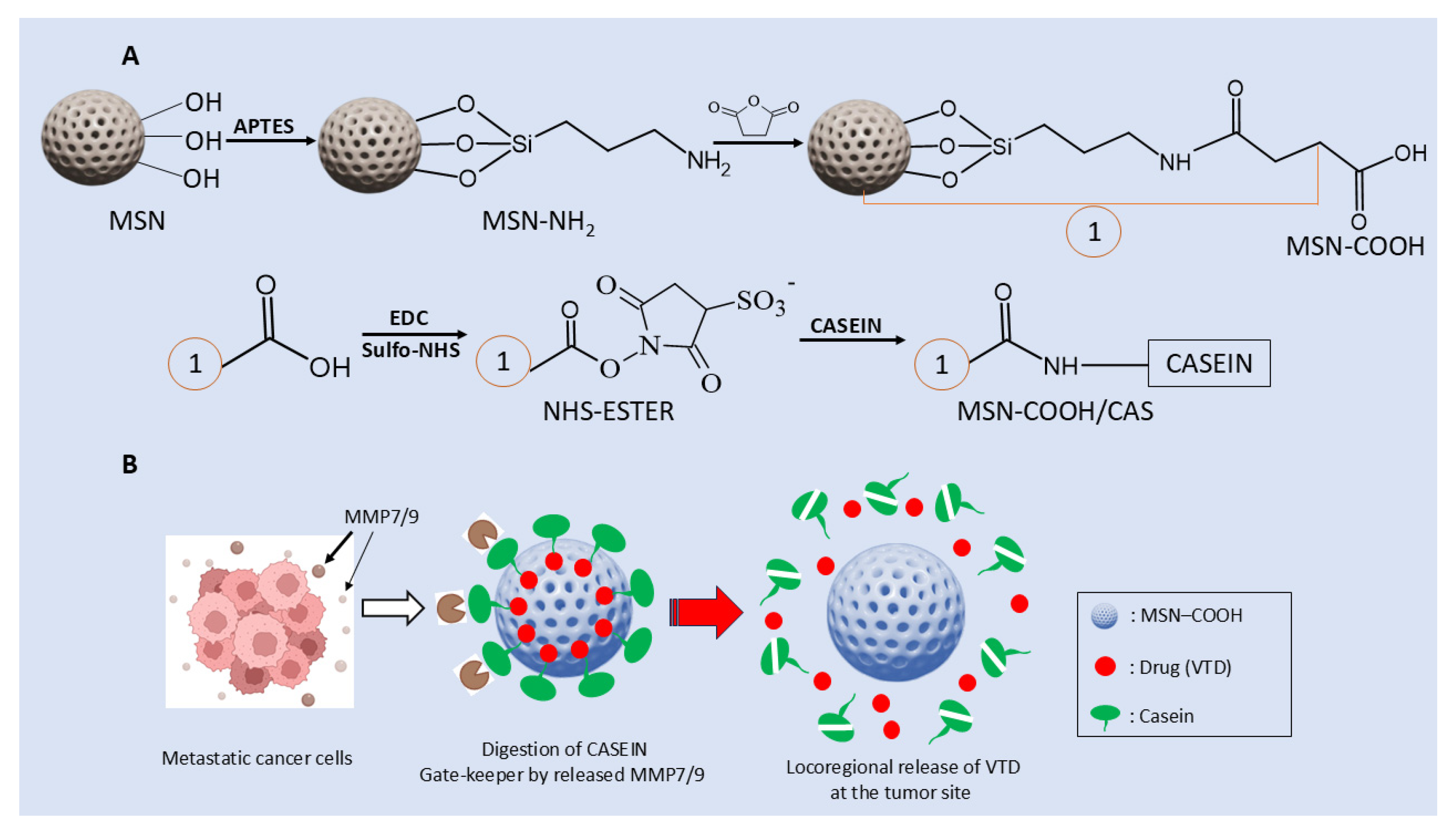 Preprints 173007 sch001