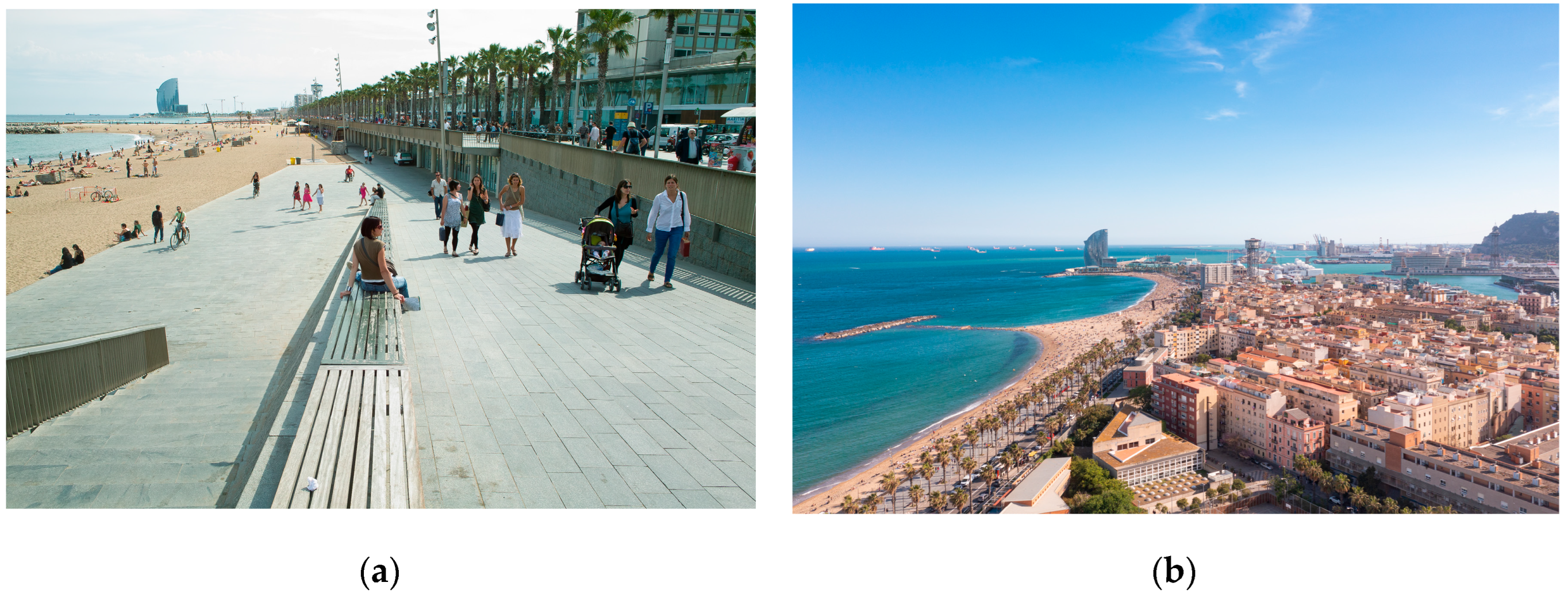 Preprints 166418 g011