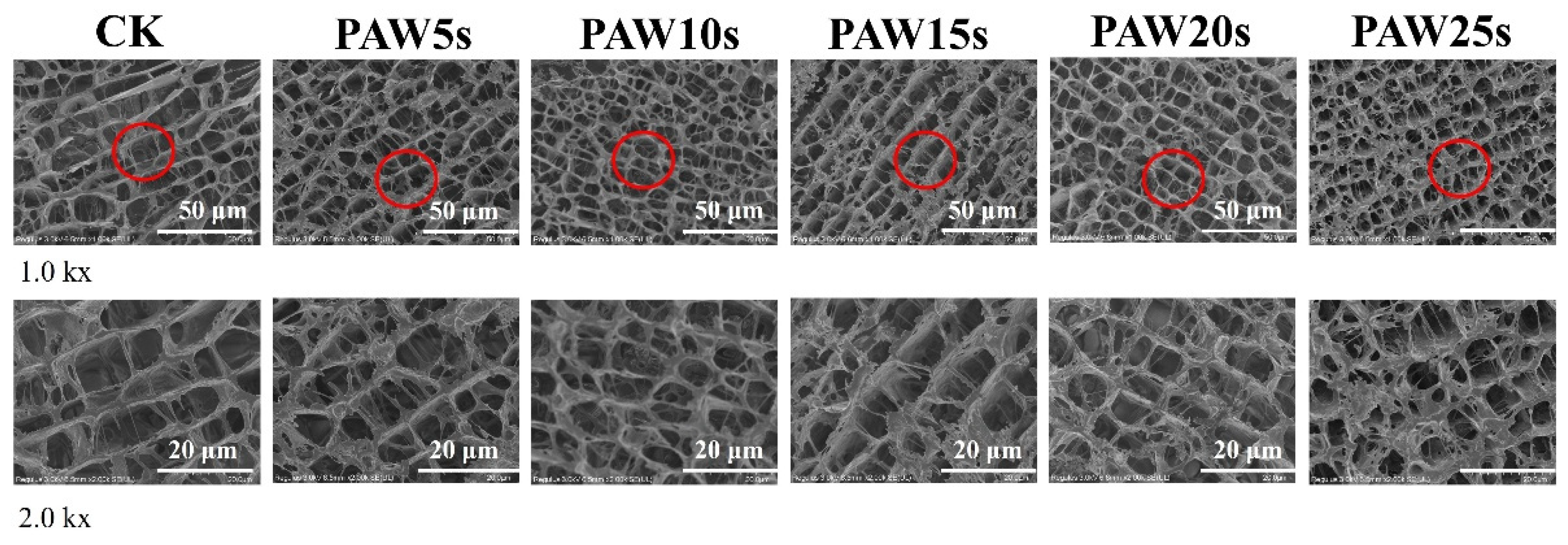 Preprints 149722 g008