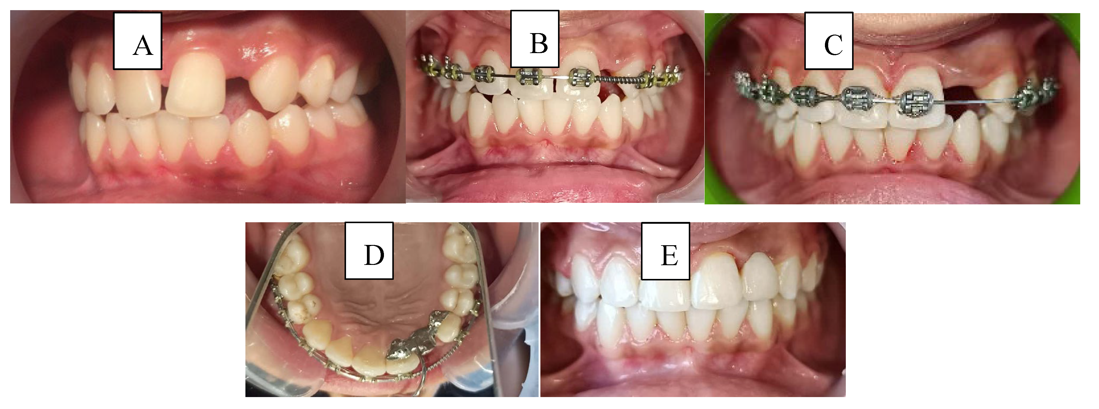 Preprints 184924 g003