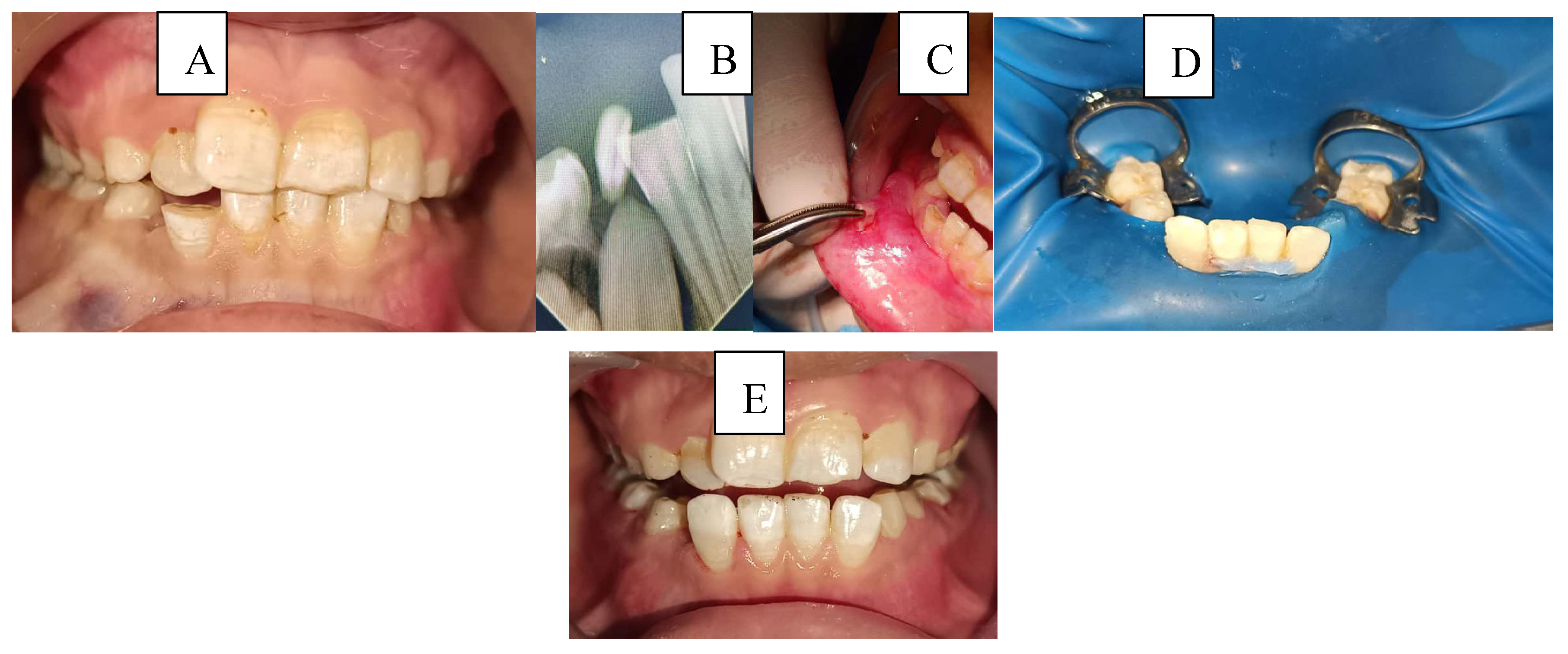 Preprints 184924 g004