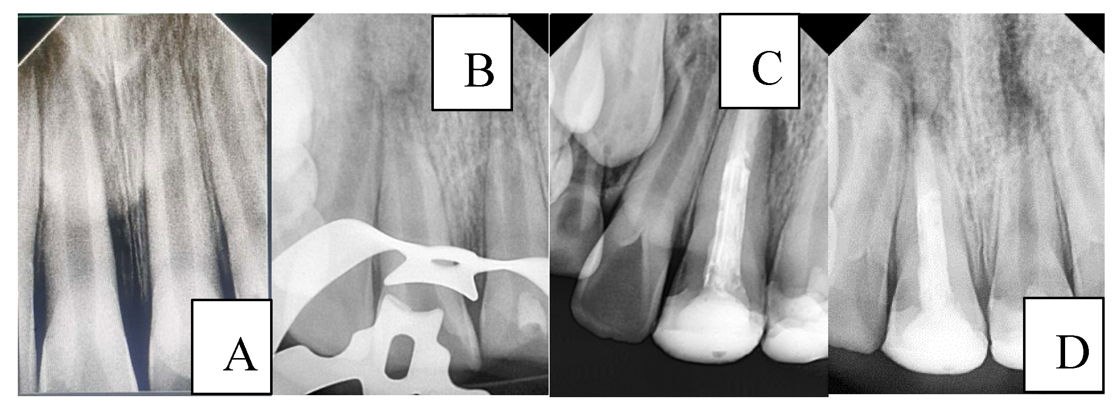 Preprints 184924 g005
