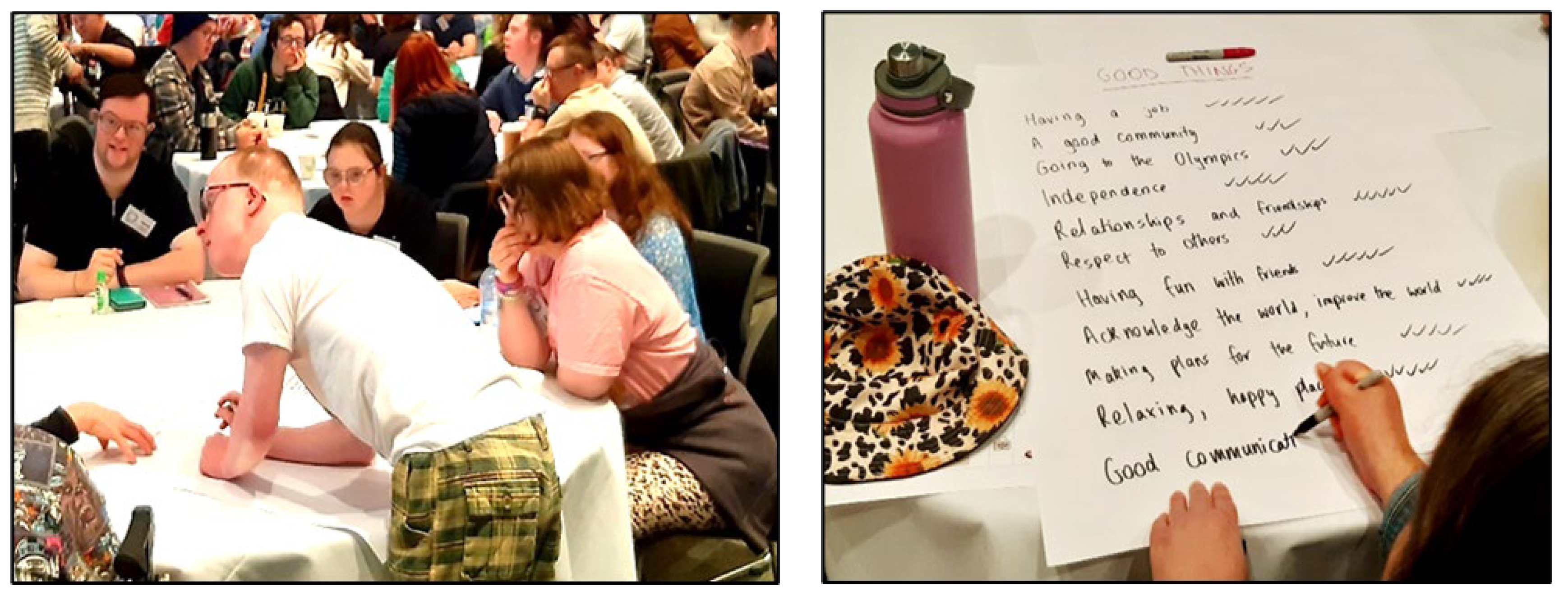 Preprints 177878 g002