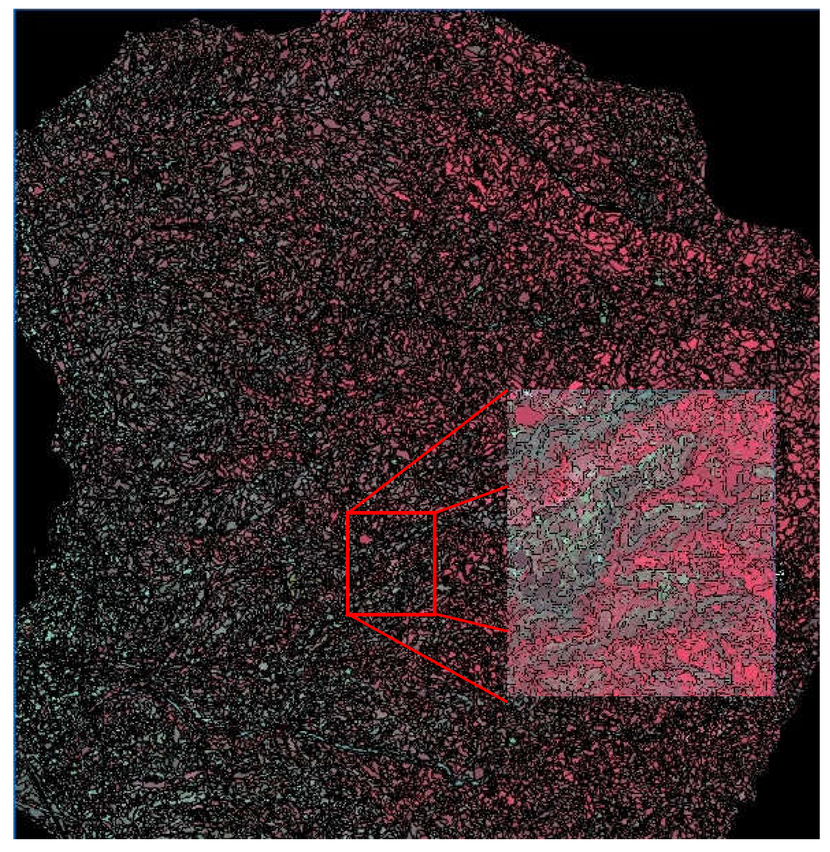 Preprints 145569 g005