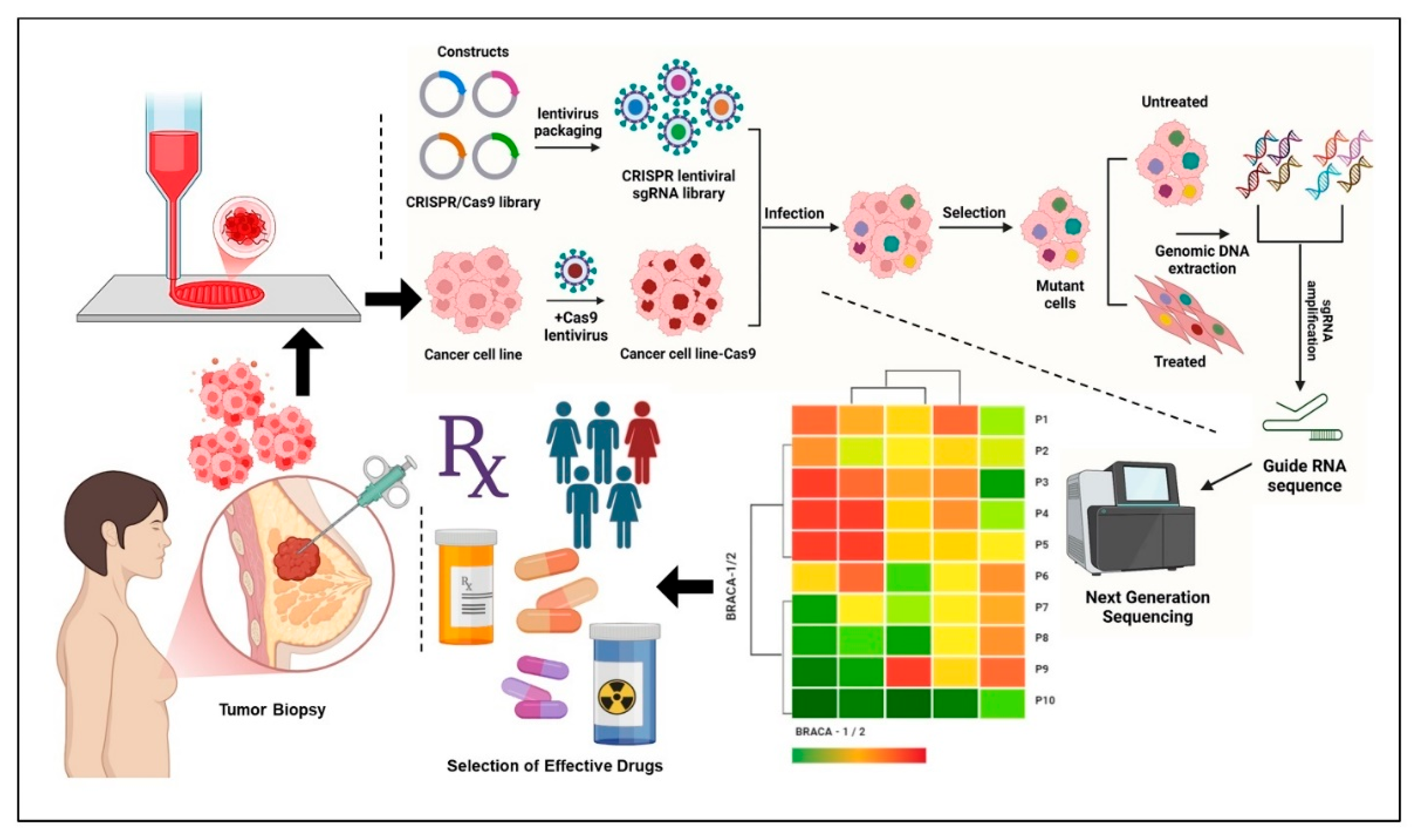Preprints 197386 g003