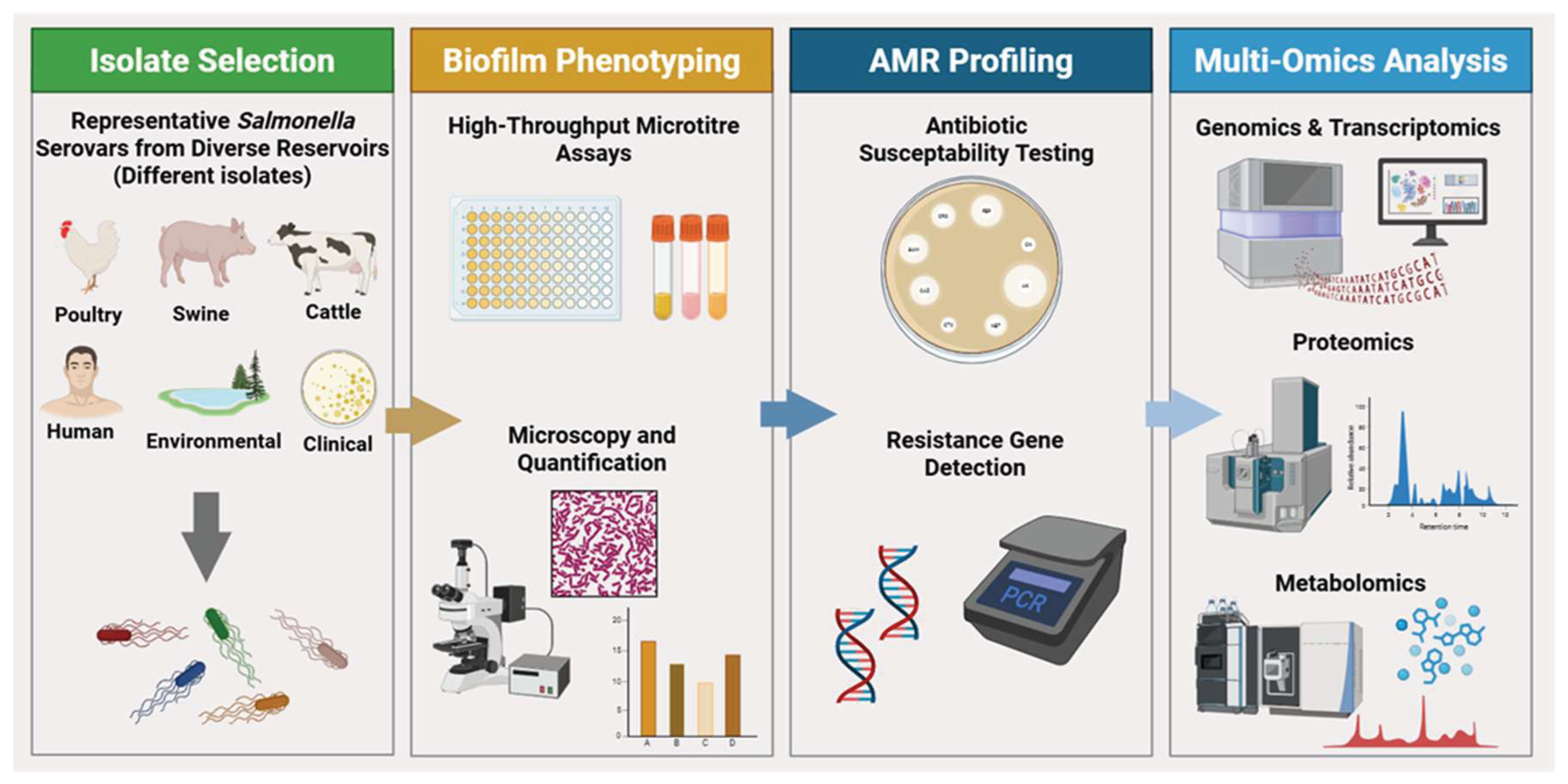 Preprints 202915 g001