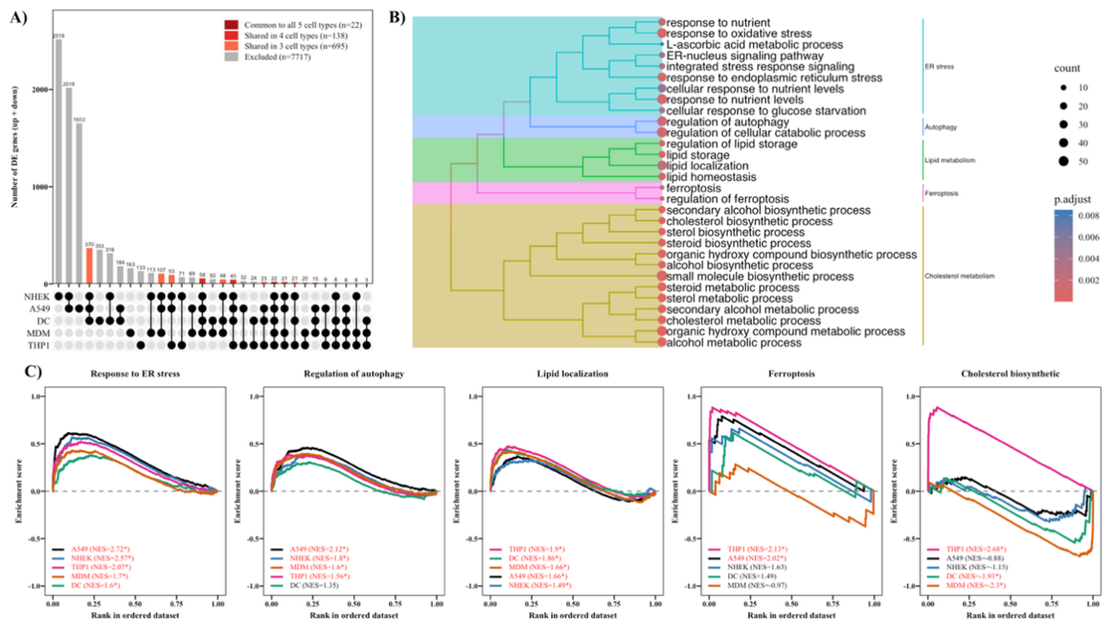 Preprints 231355 g002