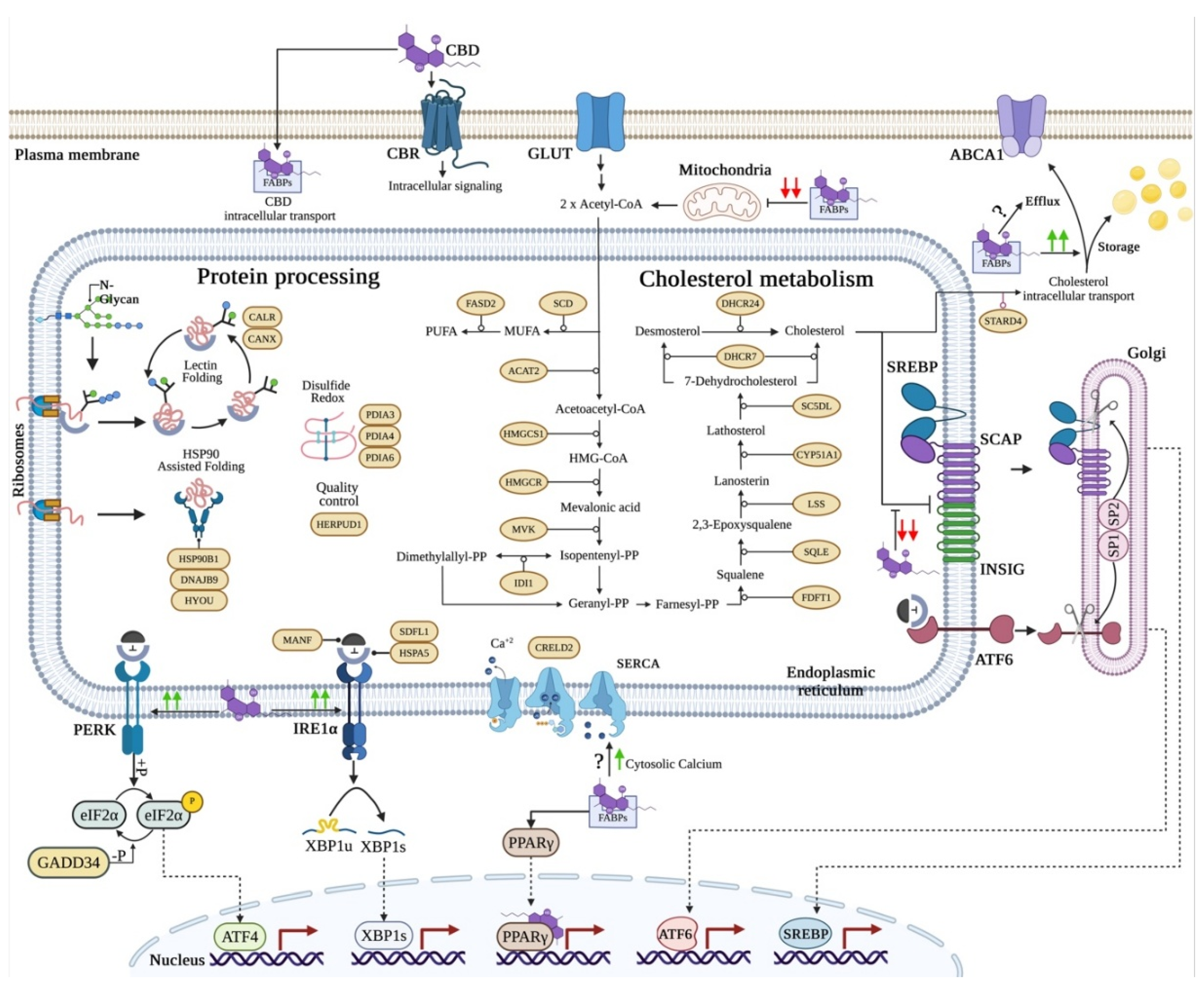 Preprints 231355 g006