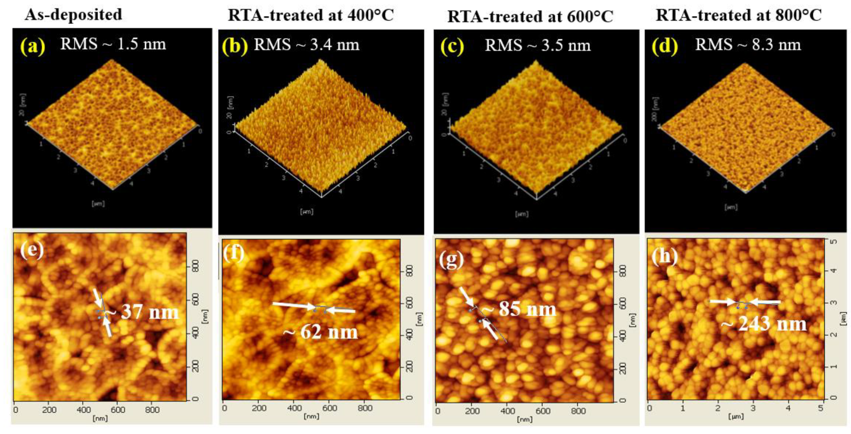Preprints 106659 g002