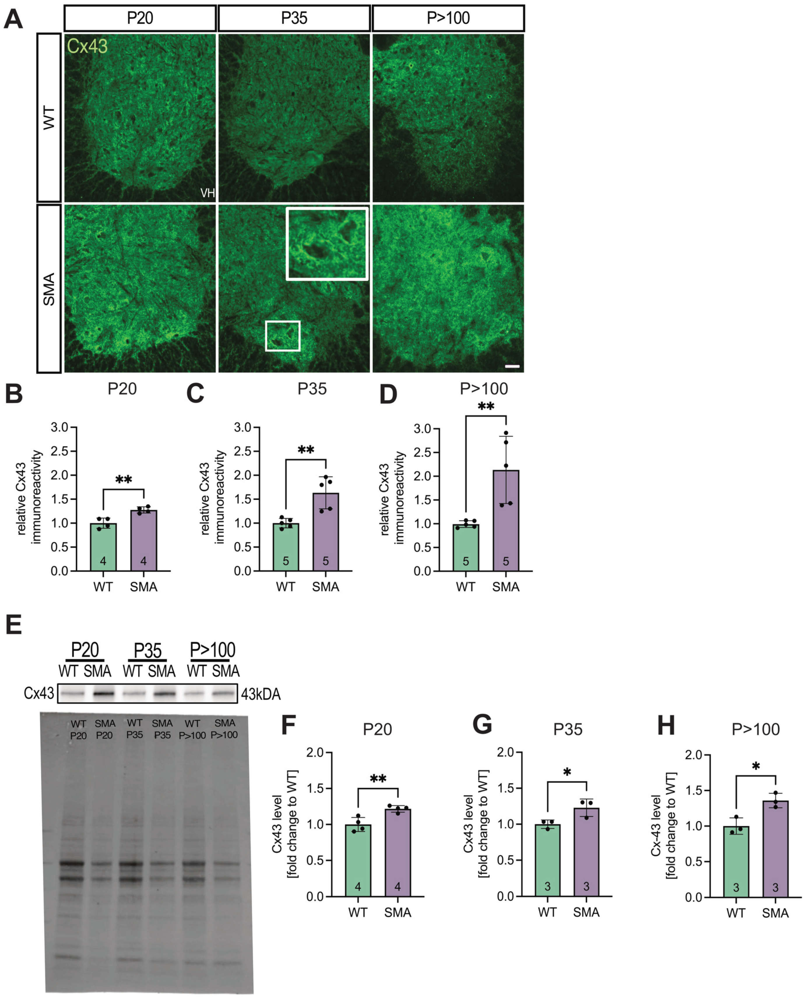 Preprints 183492 g001