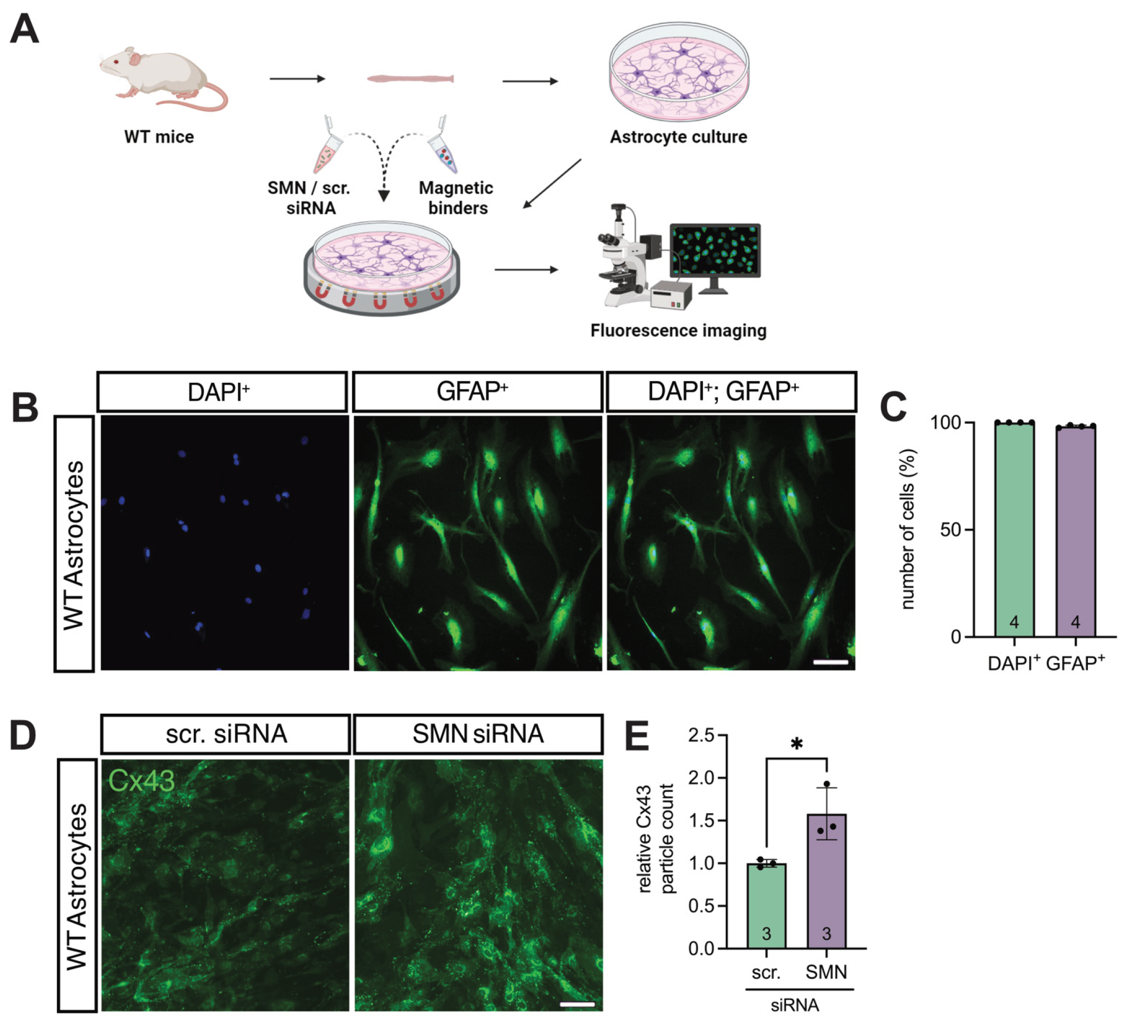 Preprints 183492 g003