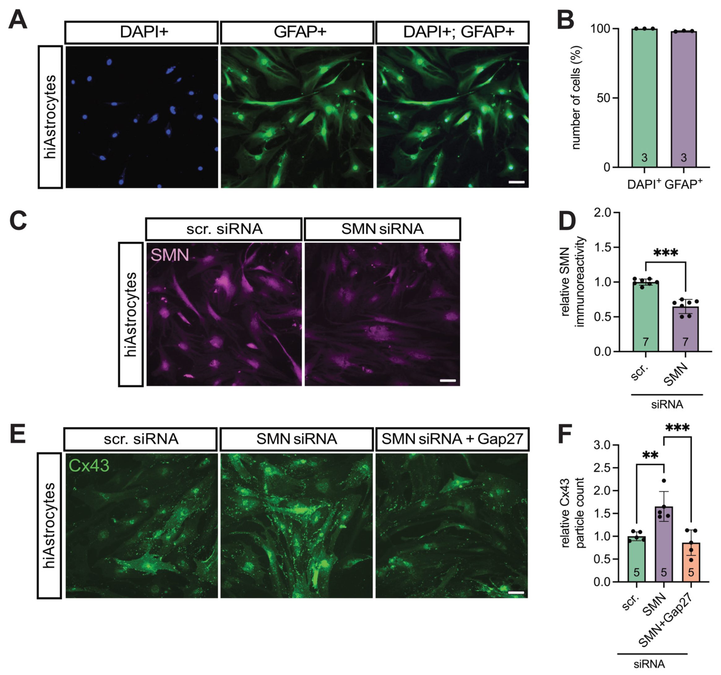 Preprints 183492 g004