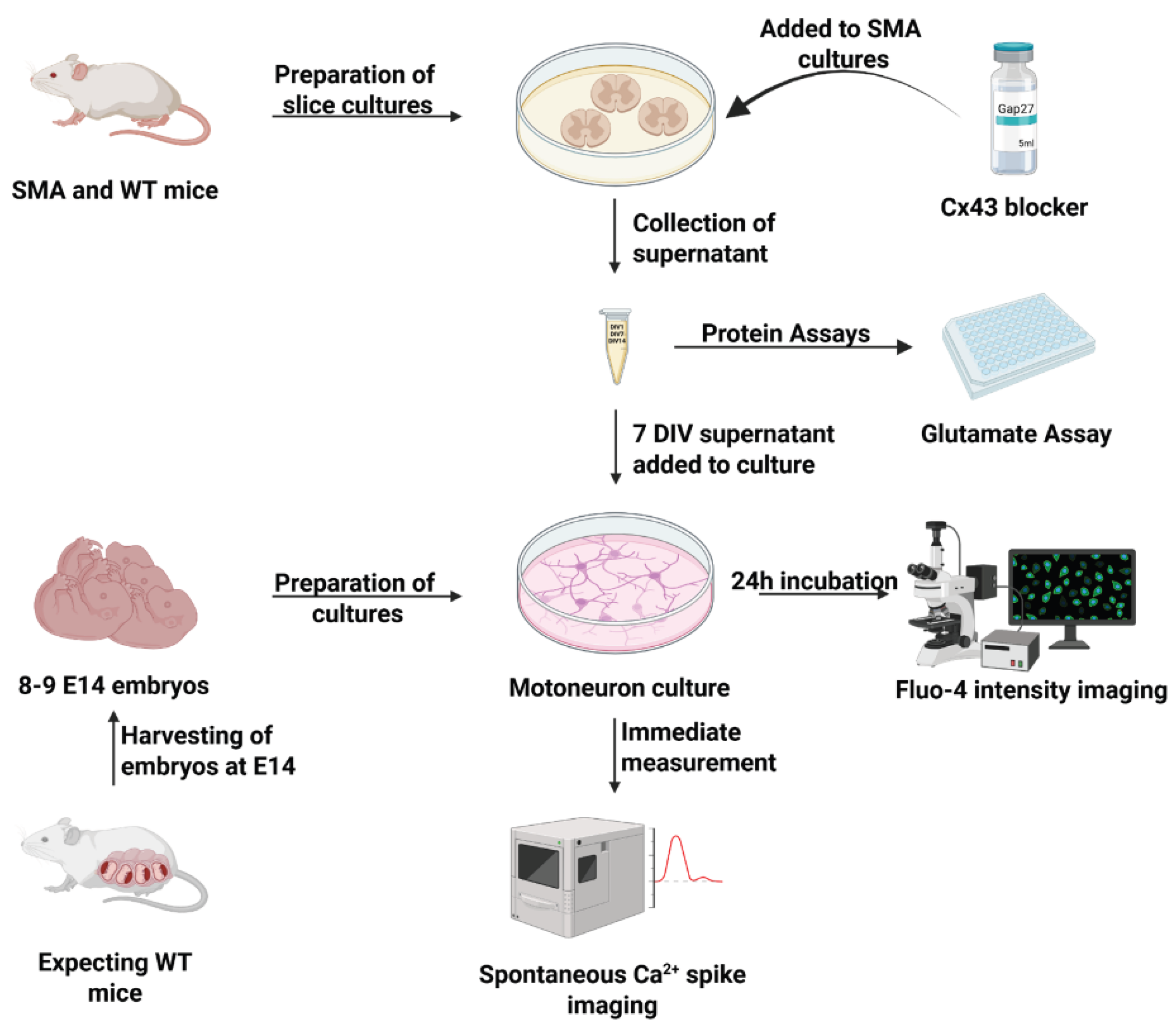 Preprints 183492 g005