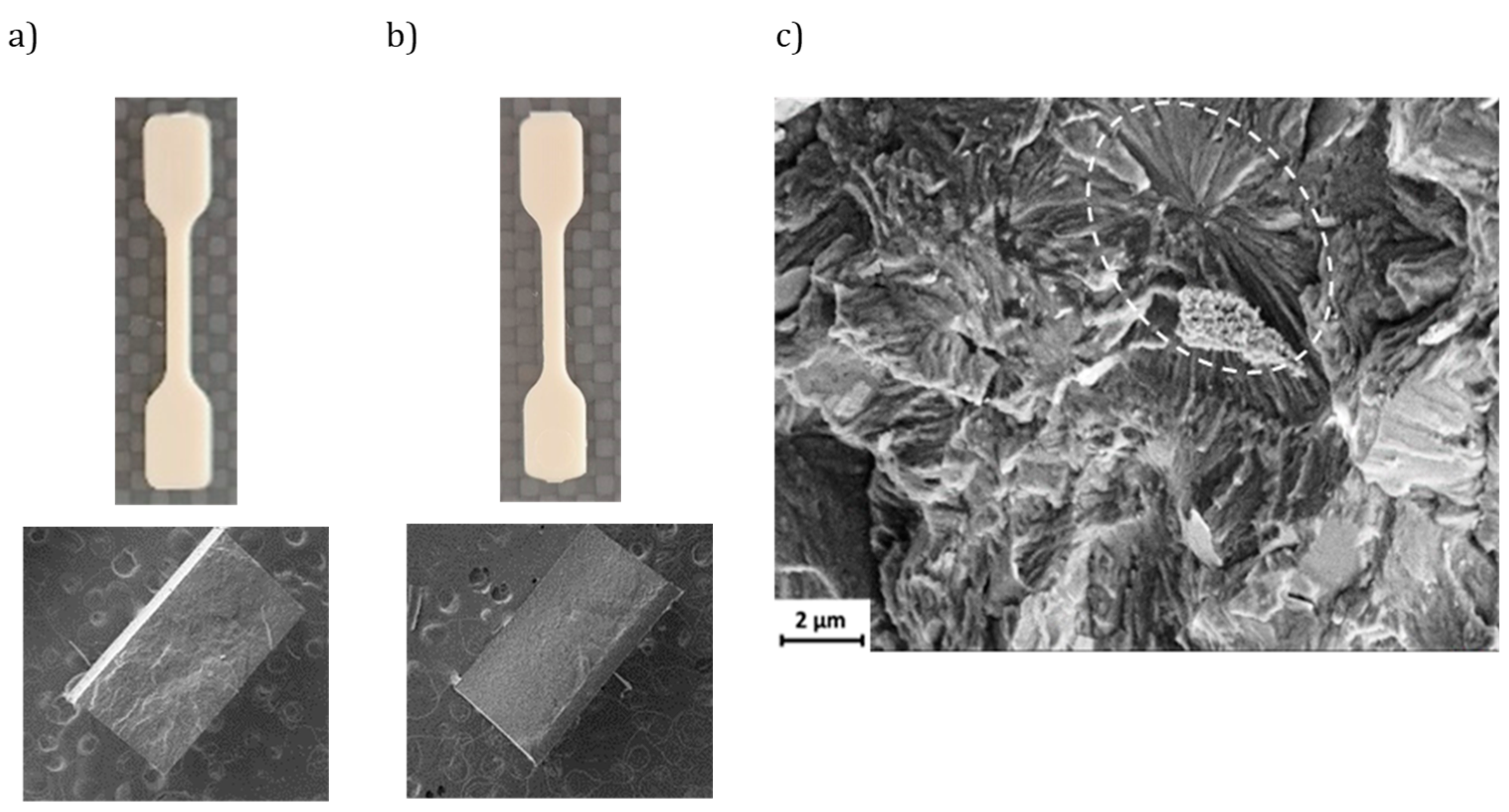 Preprints 140761 g005