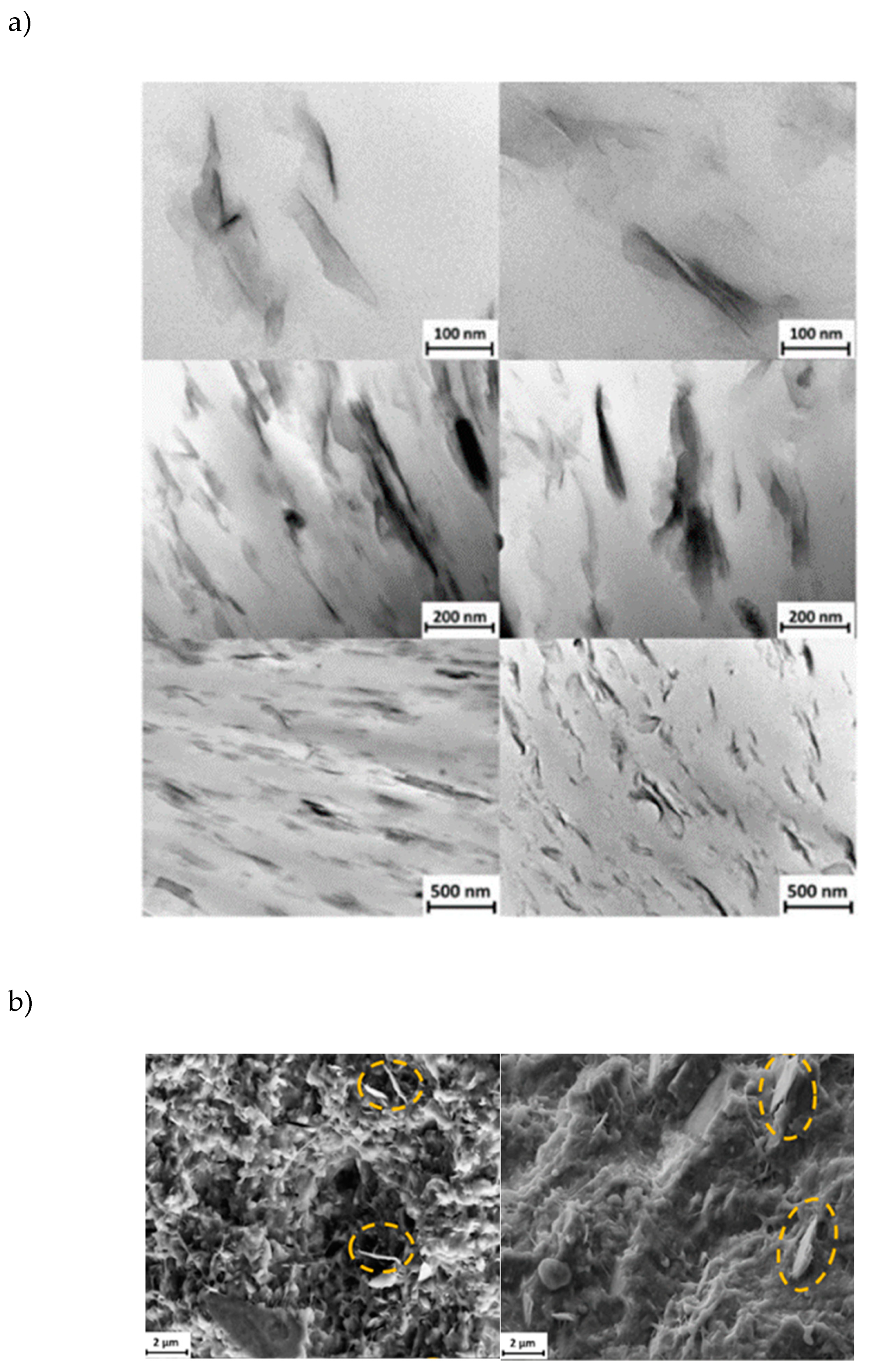 Preprints 140761 g008