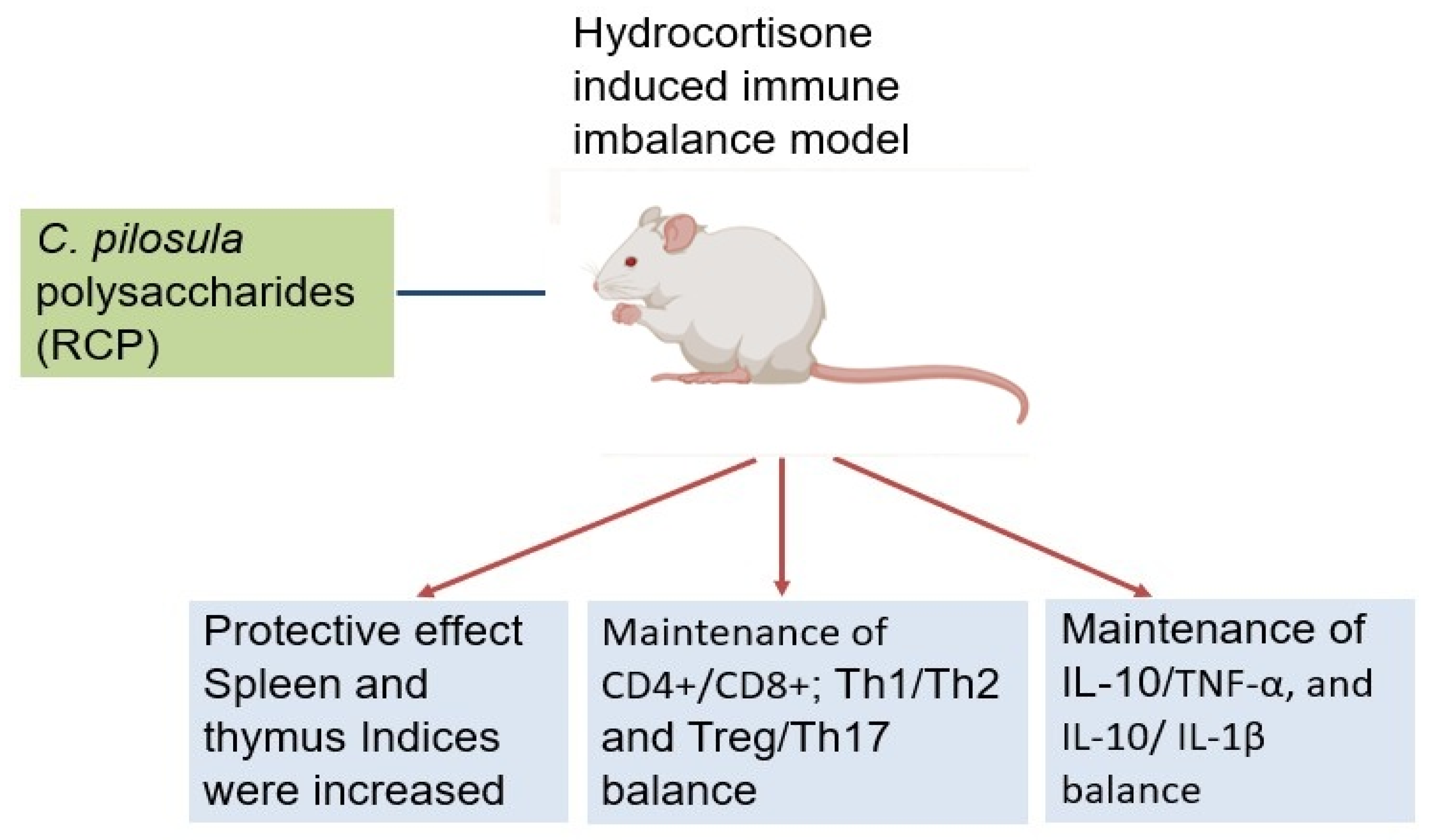 Preprints 159439 g001