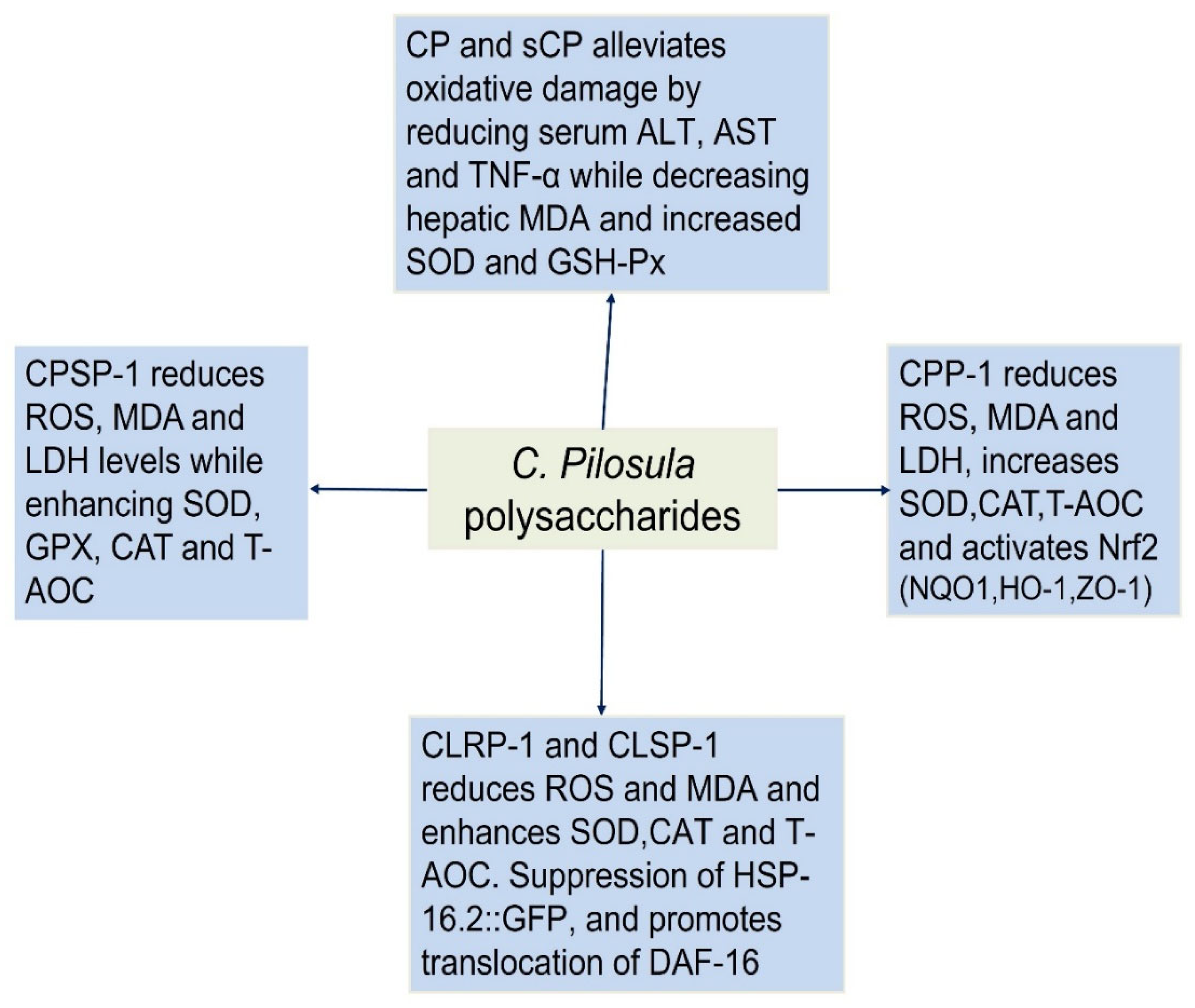 Preprints 159439 g002
