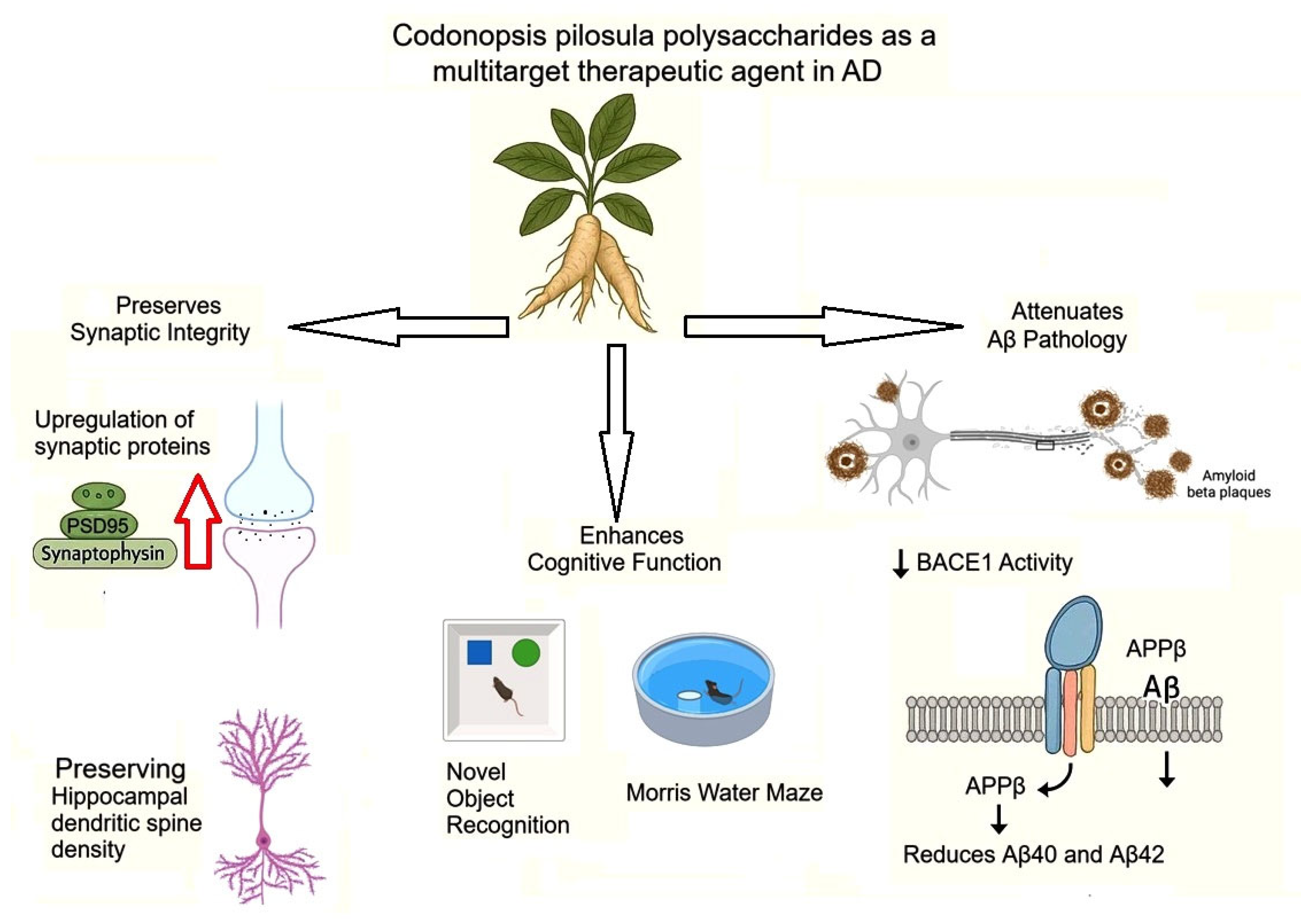 Preprints 159439 g003