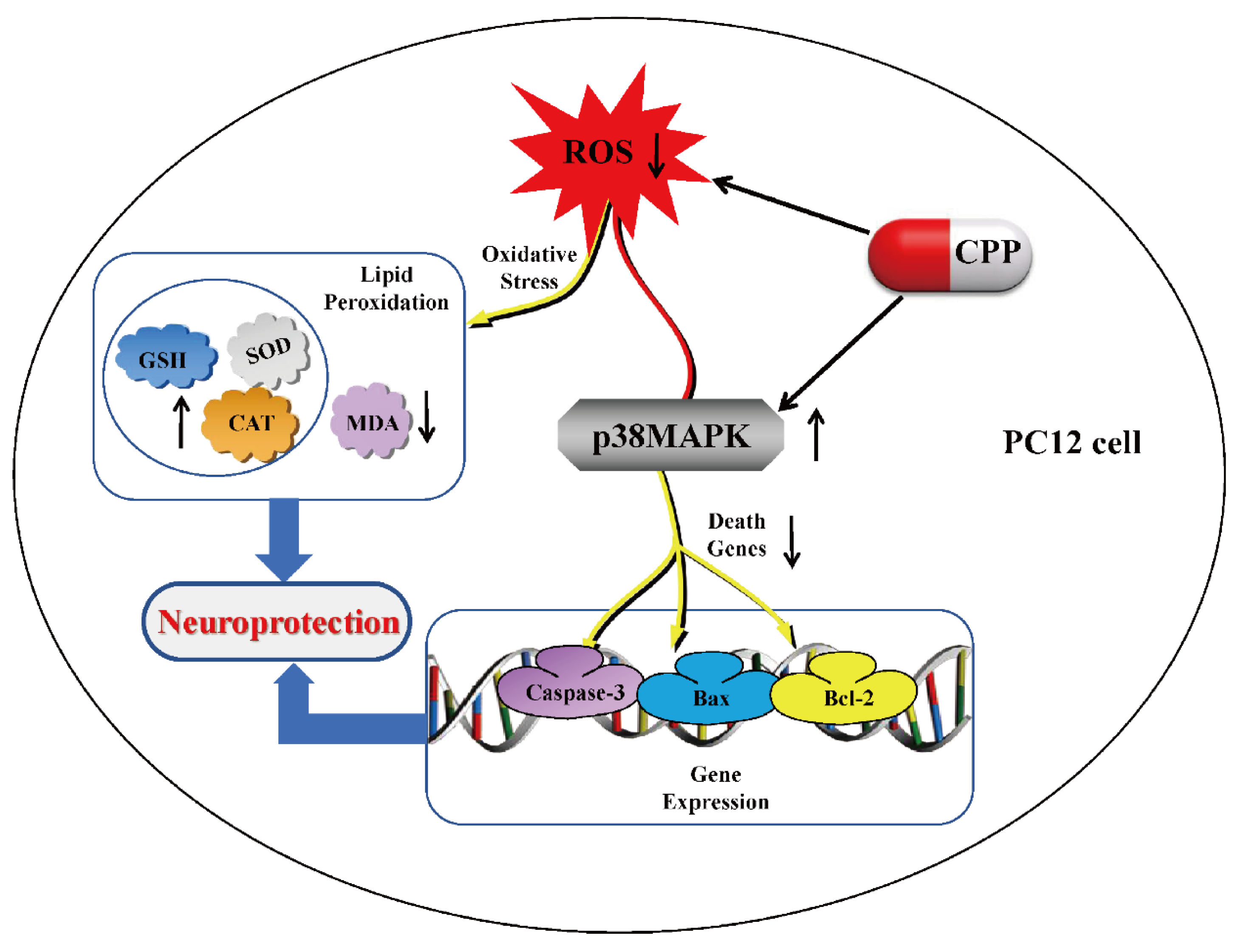 Preprints 159439 g004
