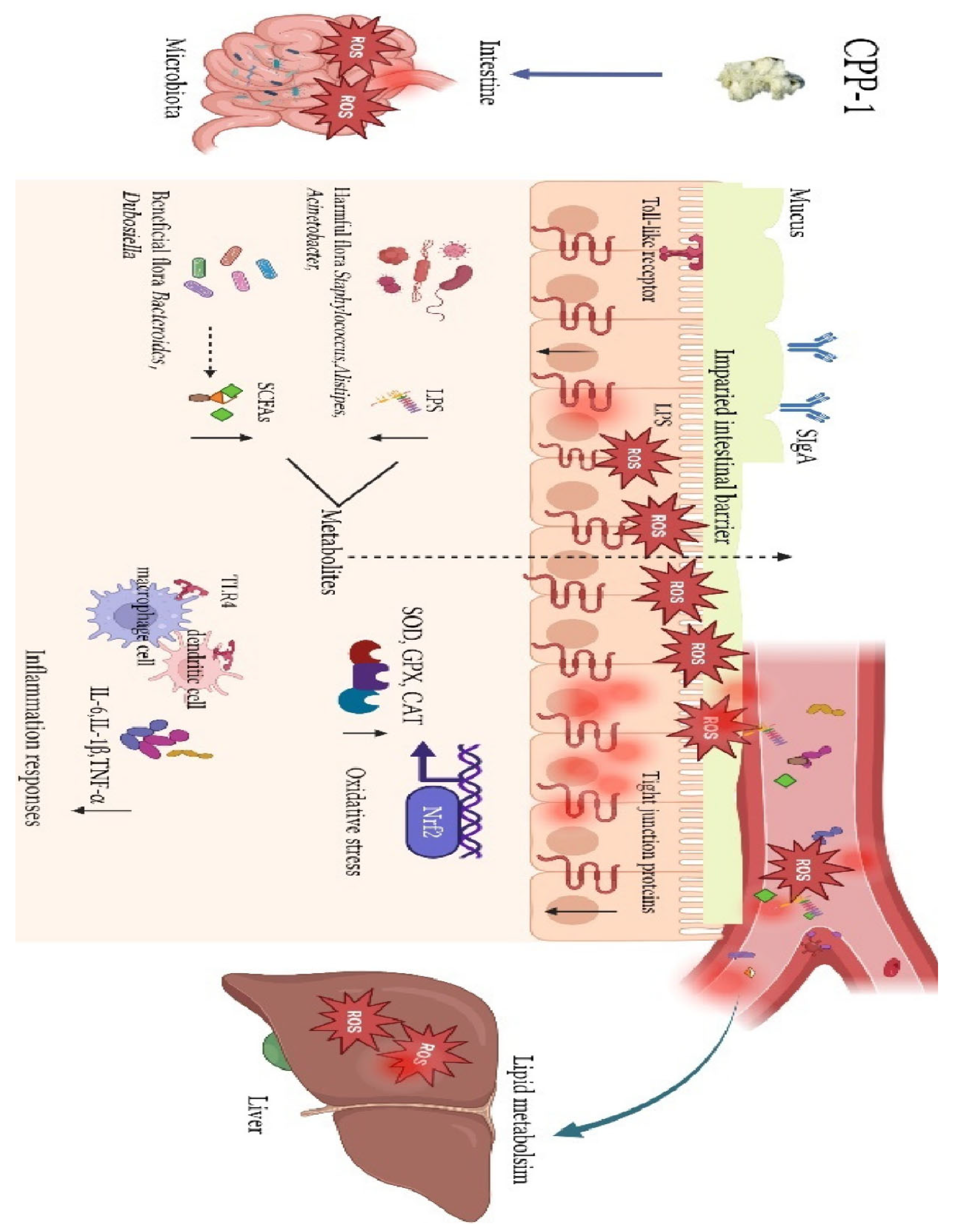 Preprints 159439 g005