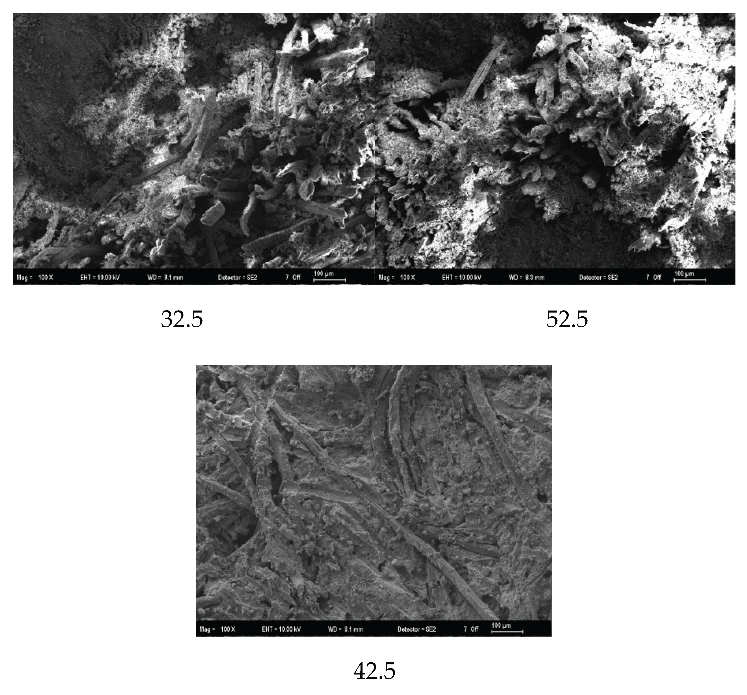 Preprints 196038 g008