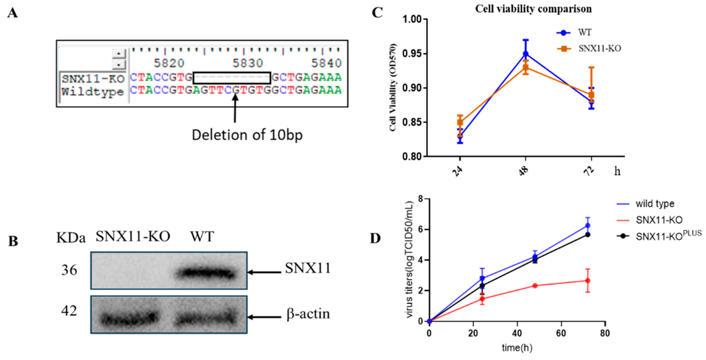 Preprints 165061 g001