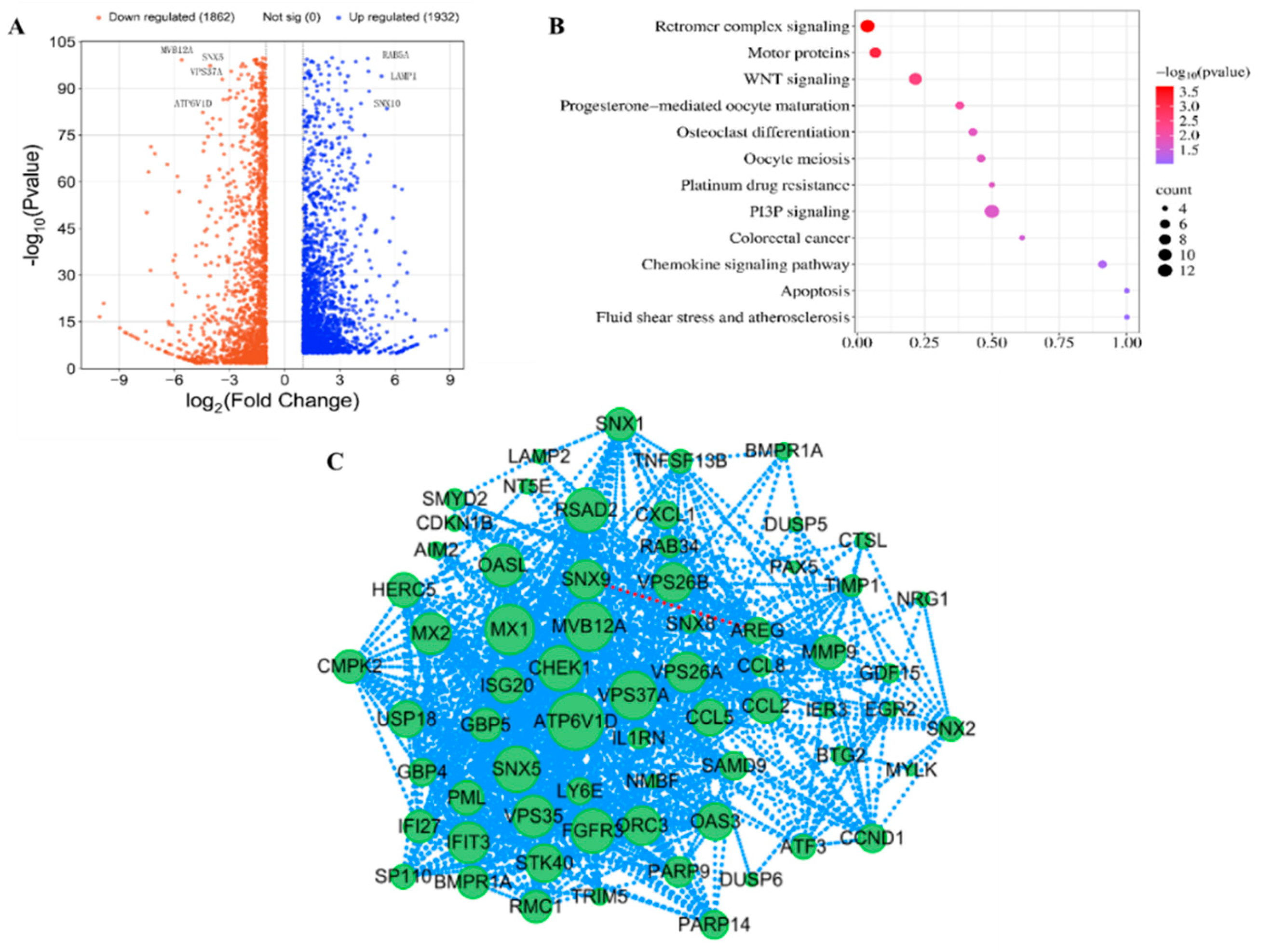 Preprints 165061 g002