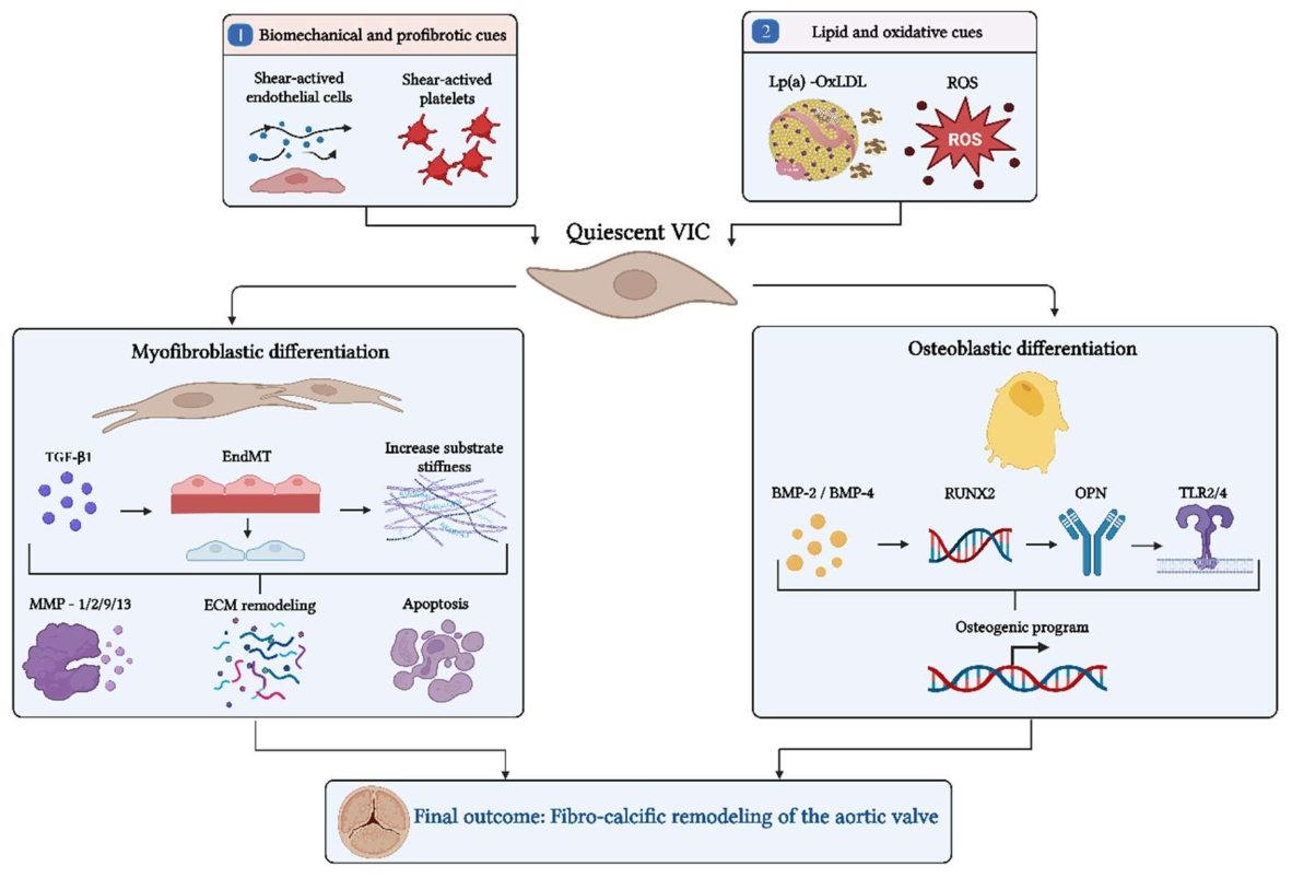 Preprints 220341 g003