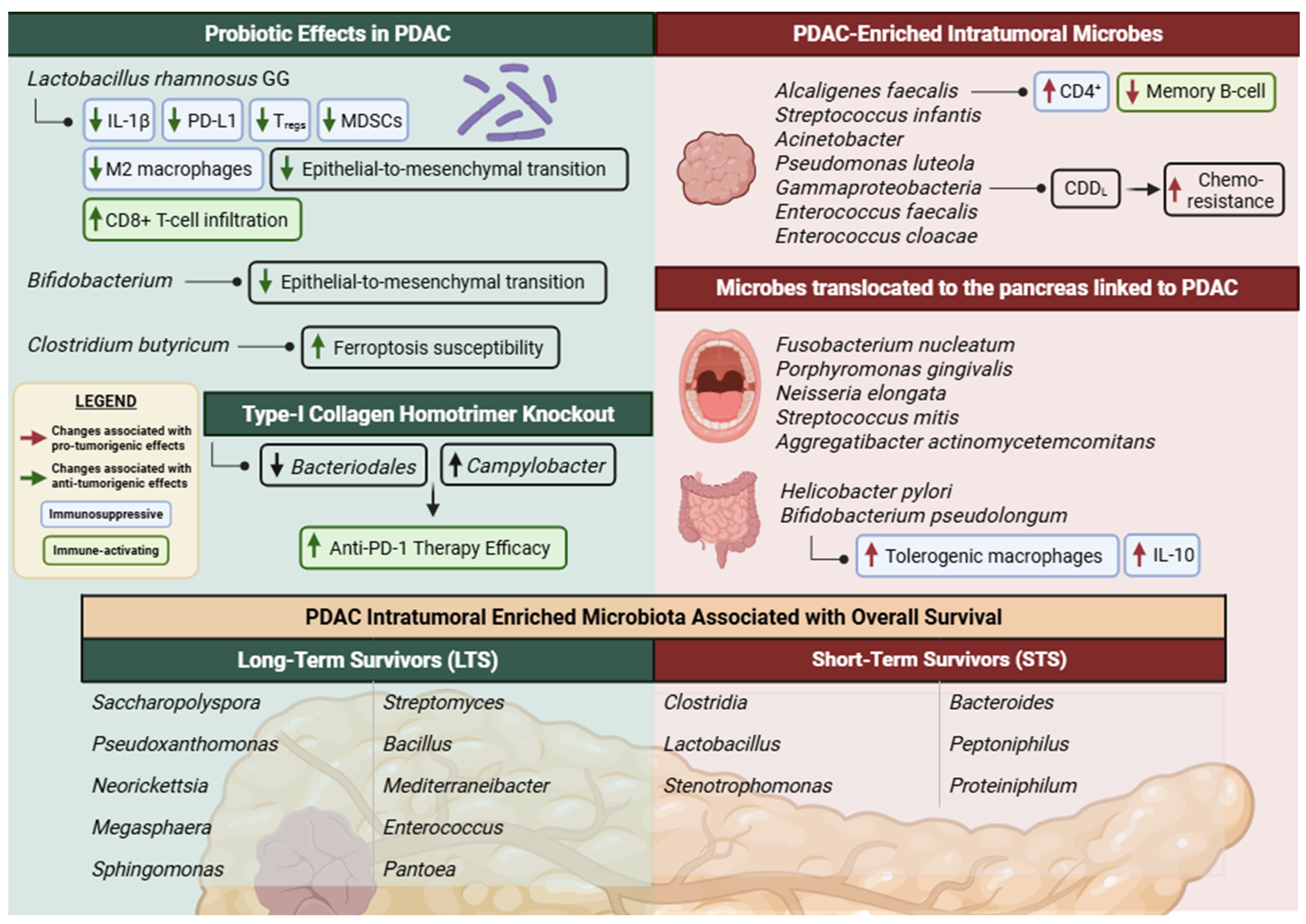 Preprints 214607 g002
