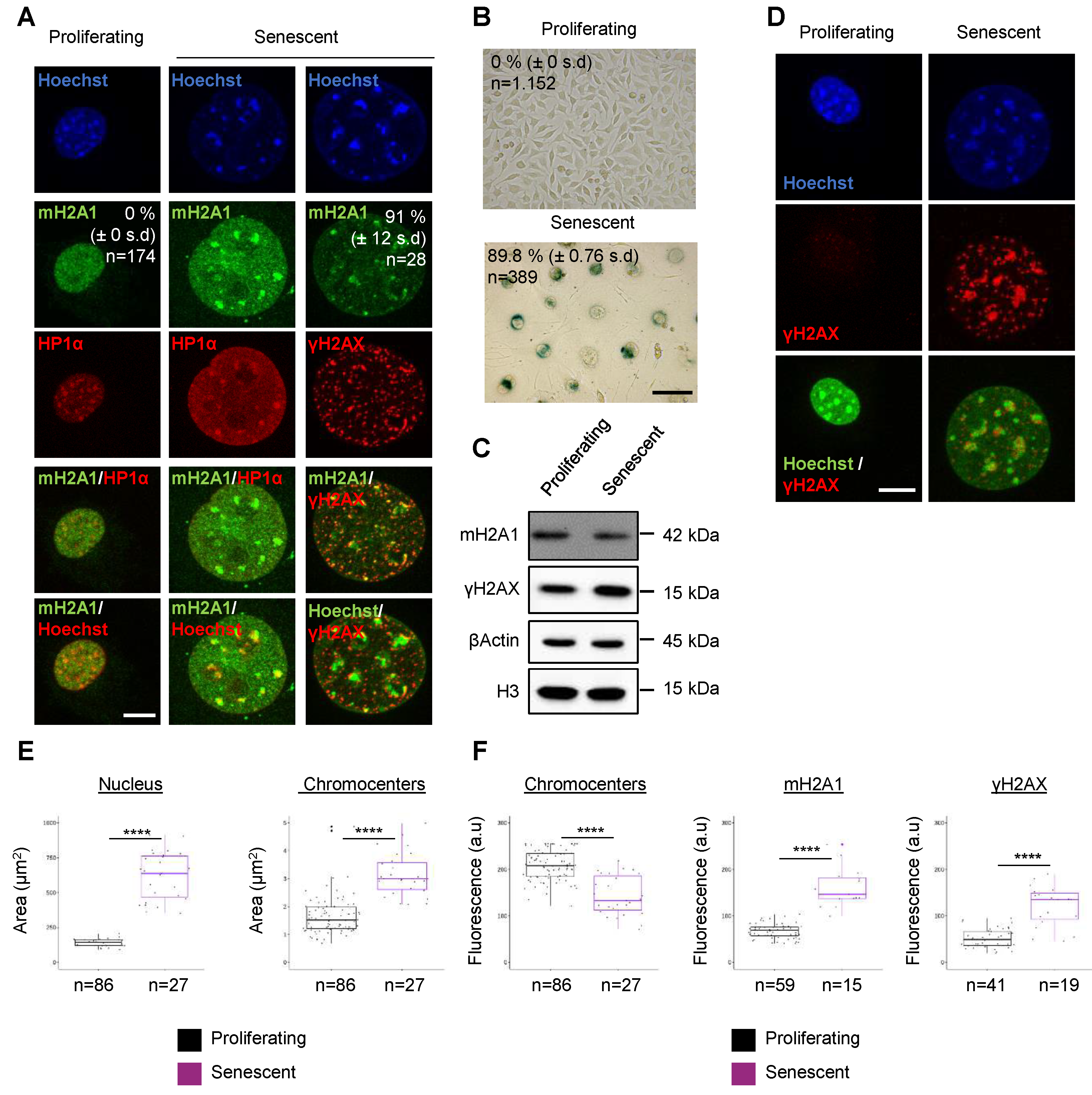 Preprints 80195 g001