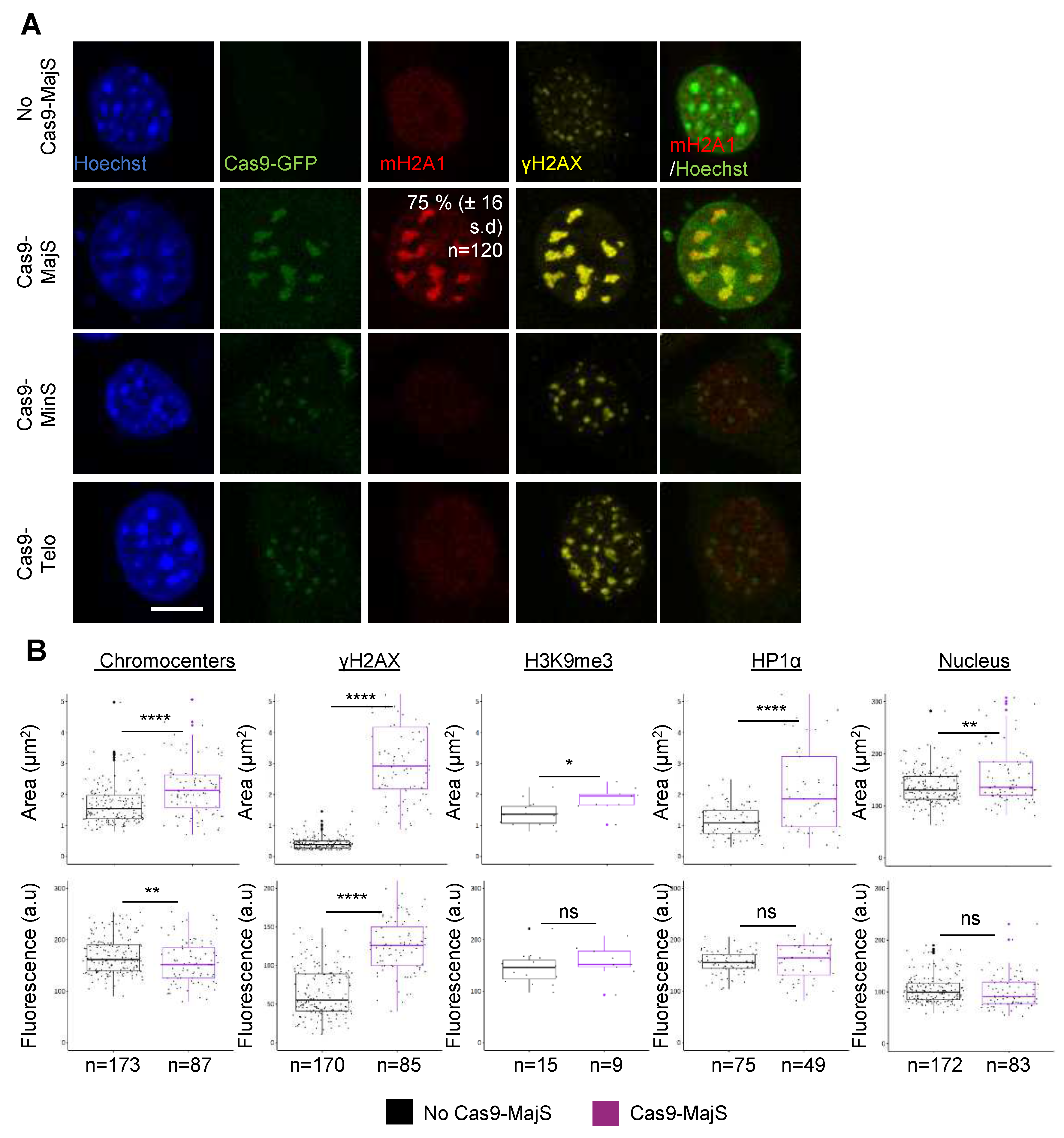 Preprints 80195 g002