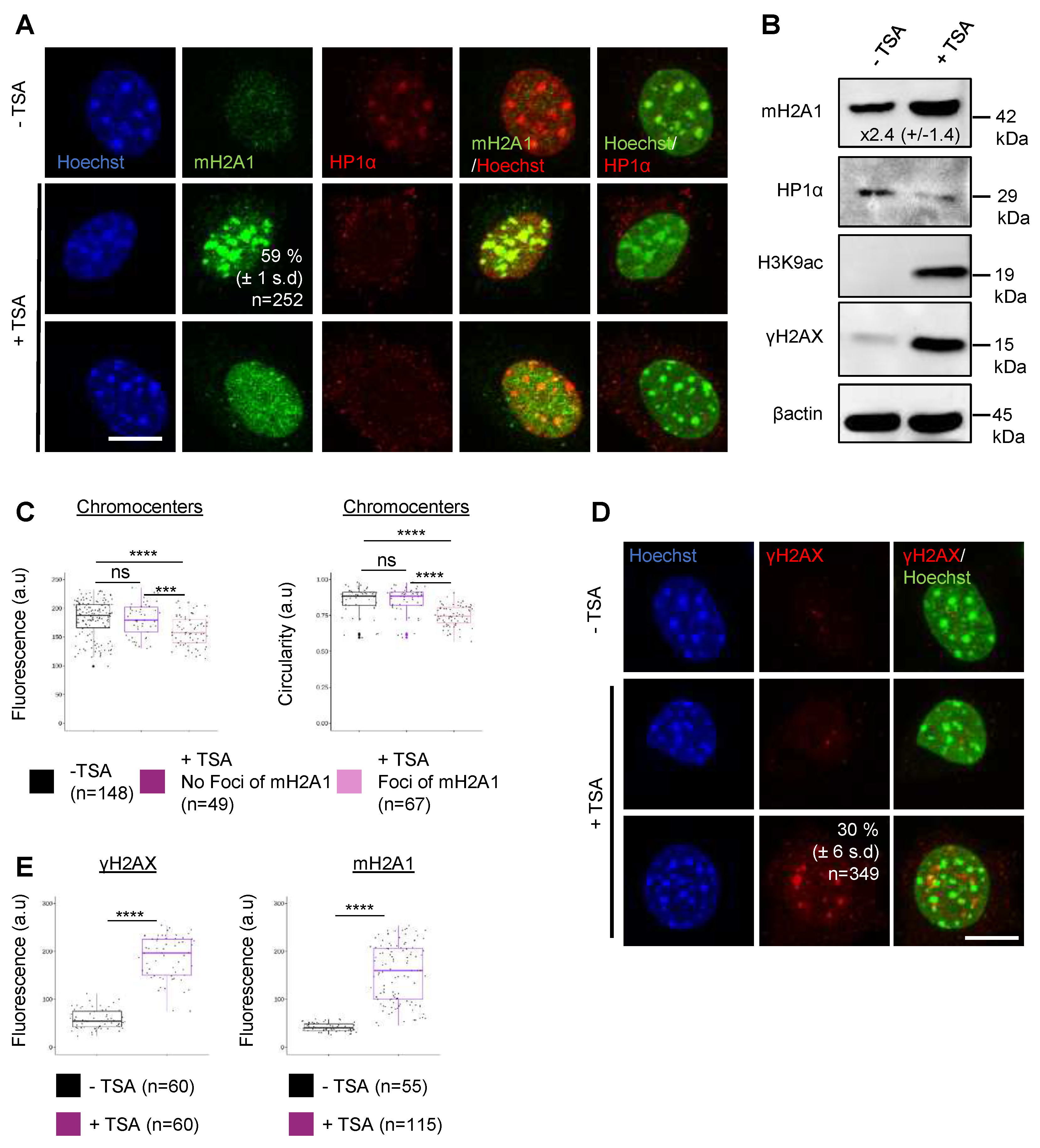 Preprints 80195 g003