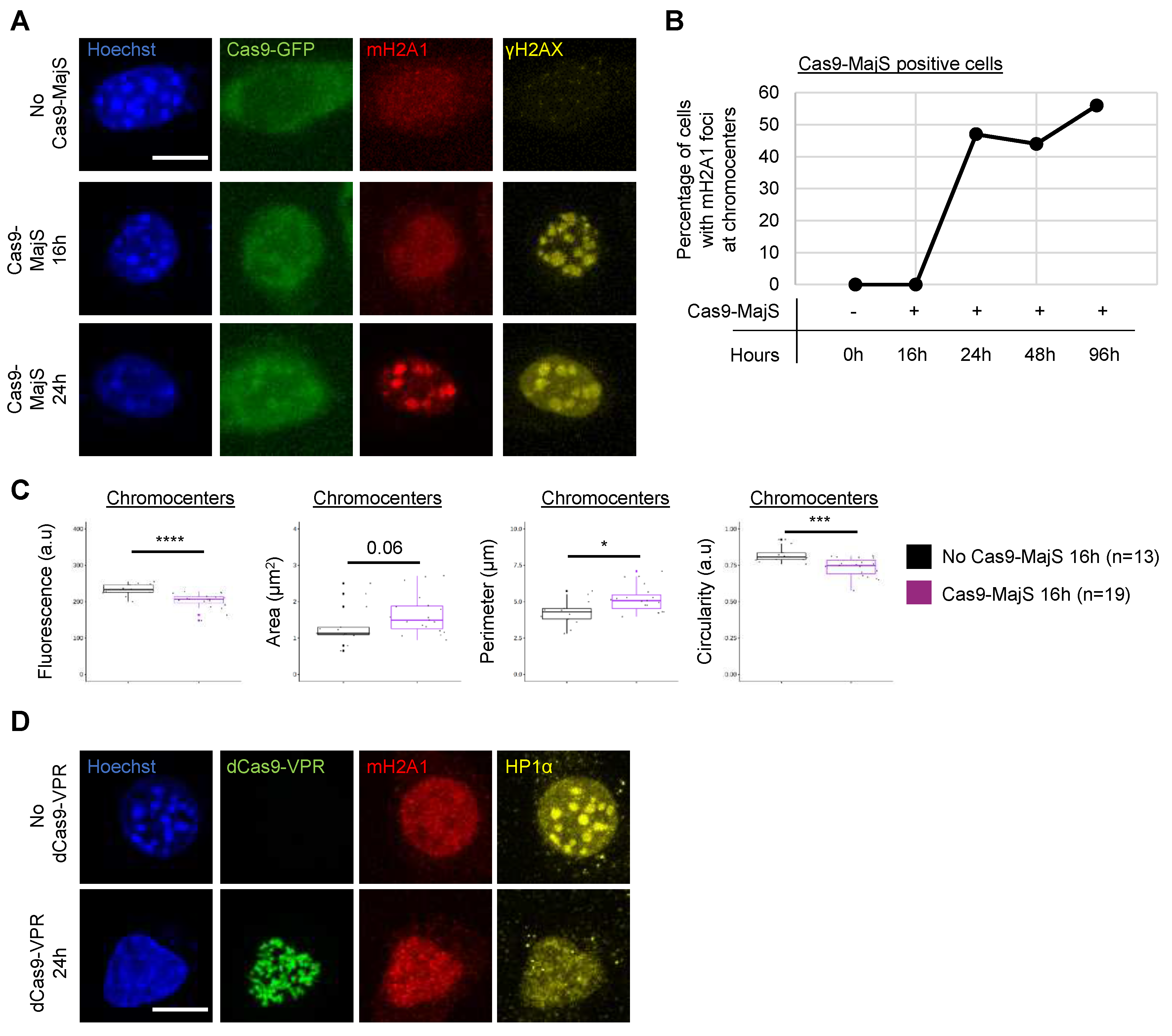 Preprints 80195 g004