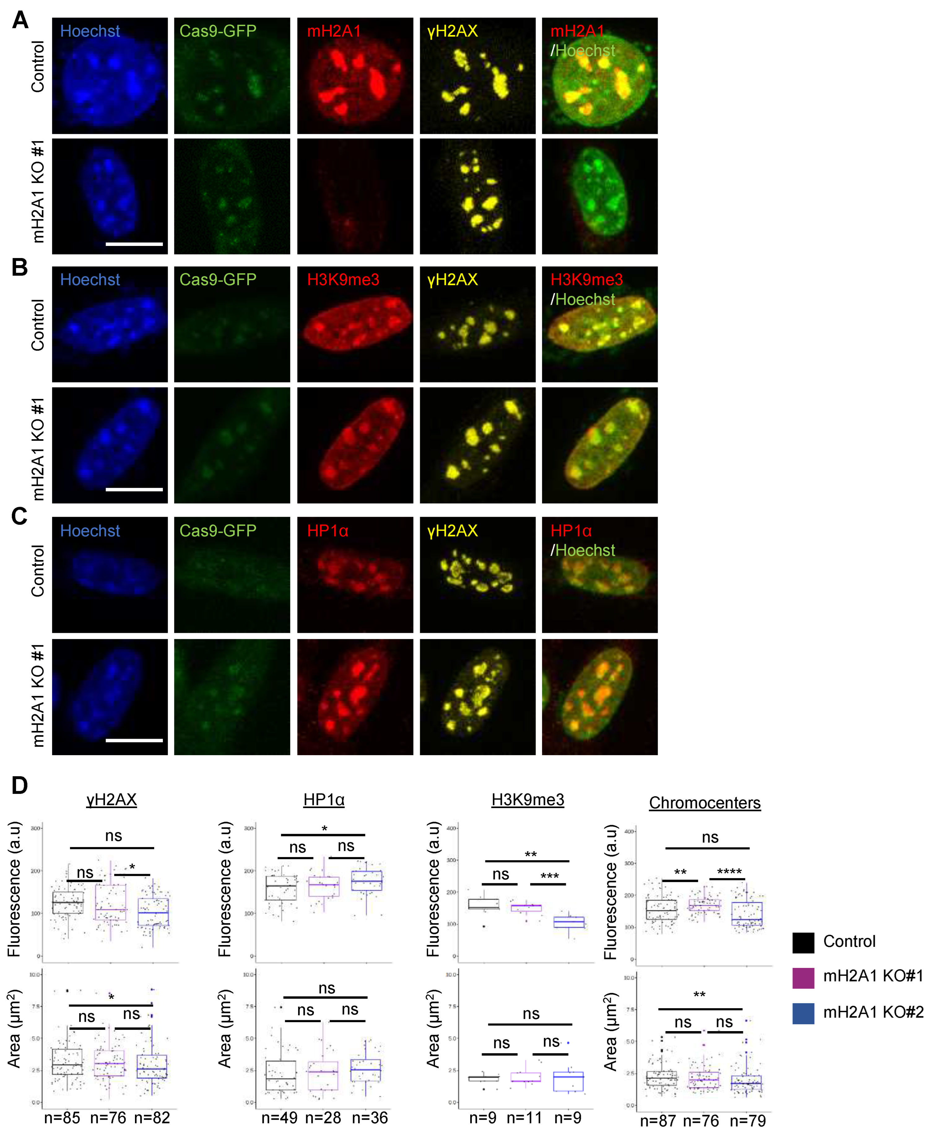 Preprints 80195 g005