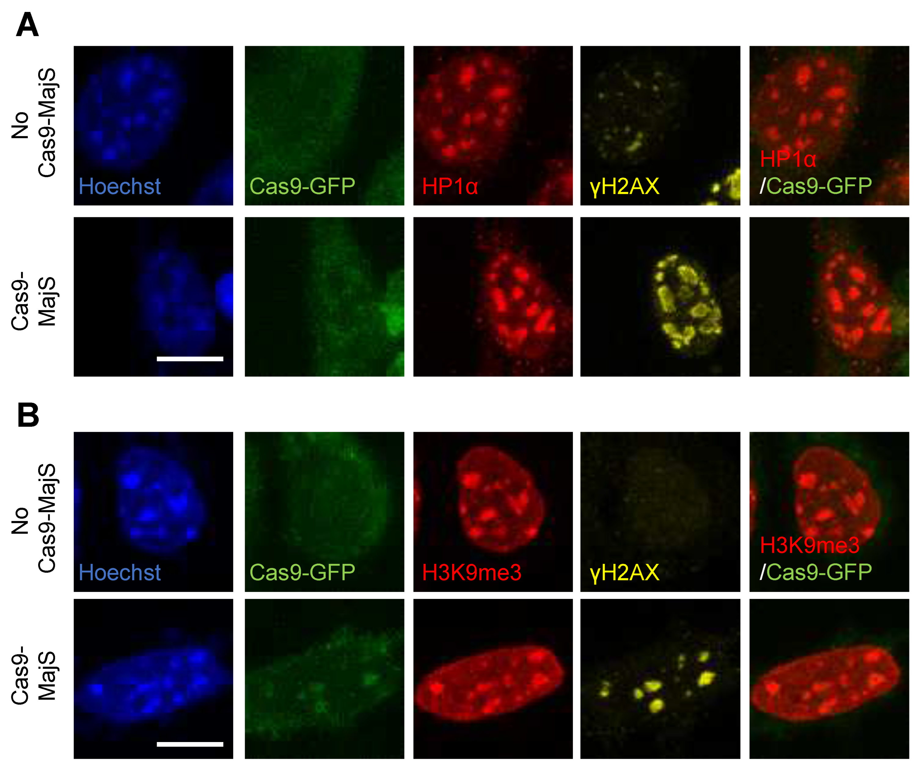 Preprints 80195 g0a1
