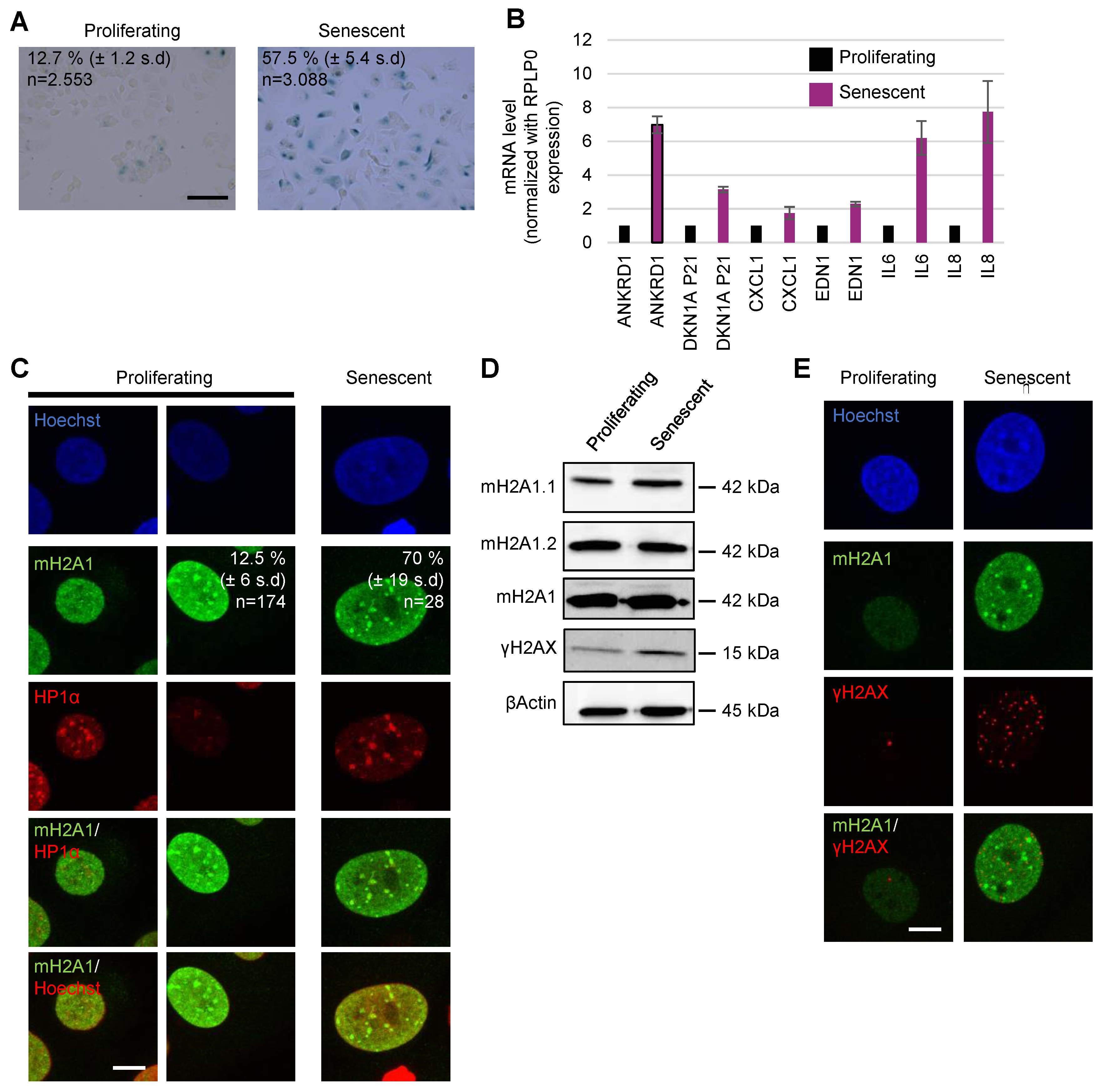 Preprints 80195 g0a3