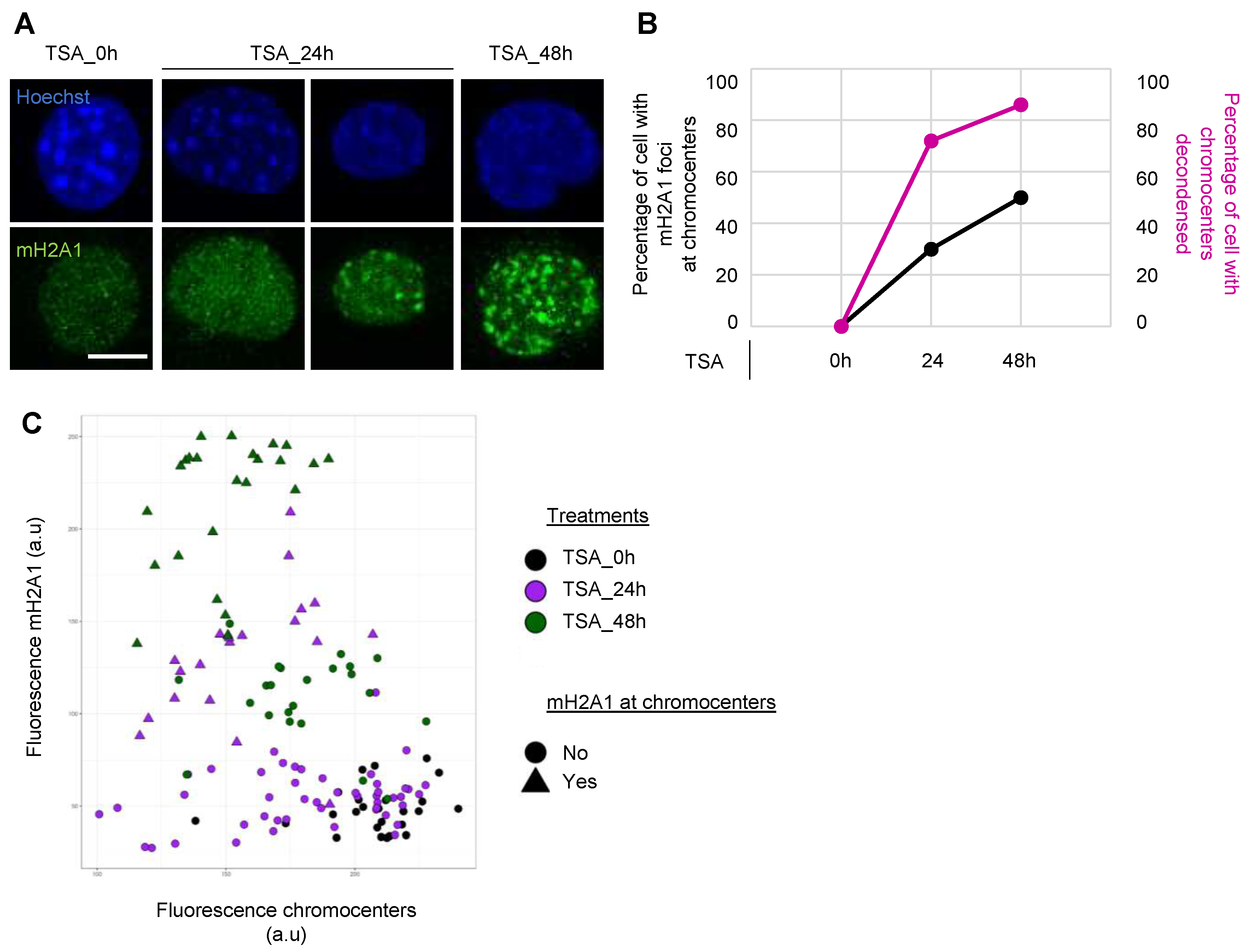Preprints 80195 g0a4