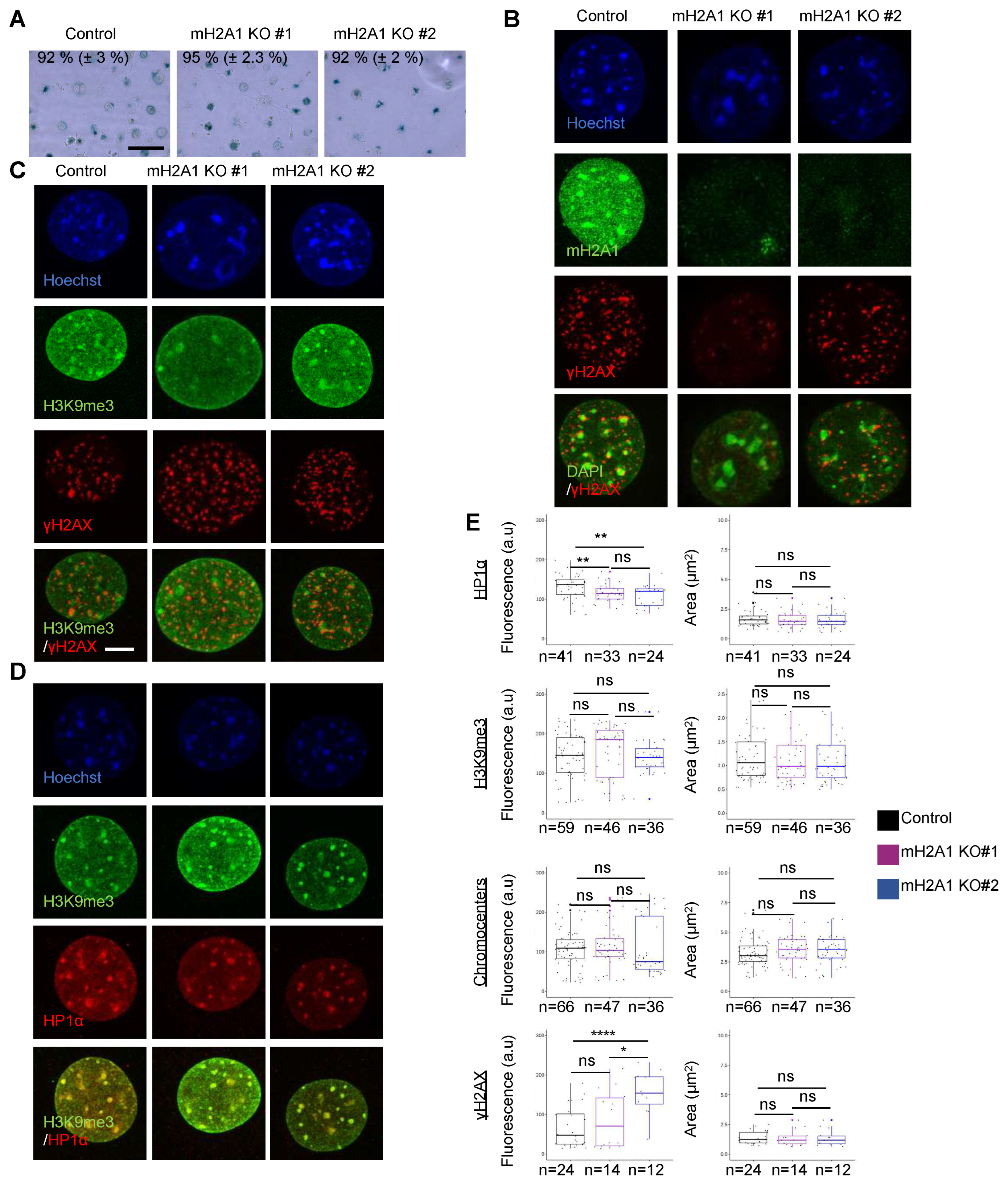 Preprints 80195 g0a8