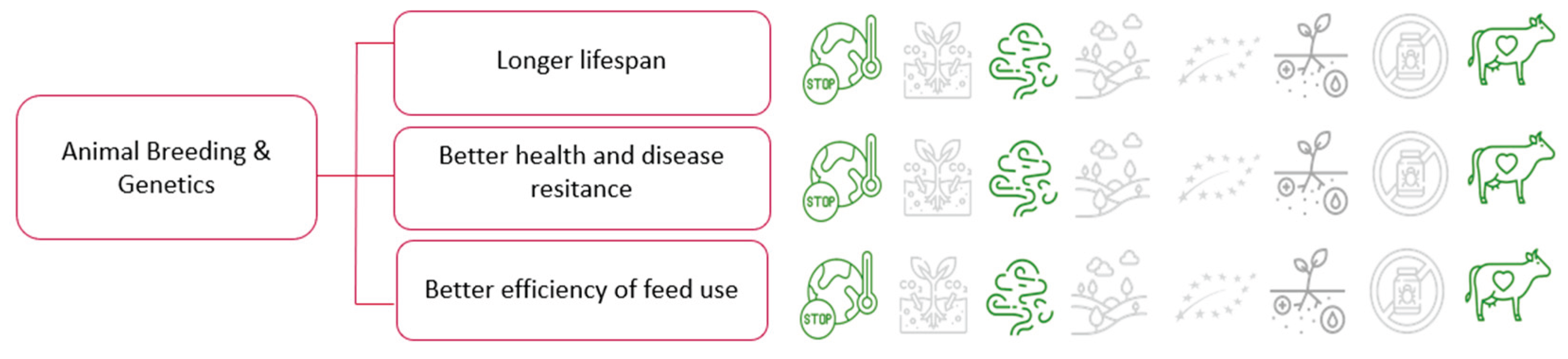 Preprints 183981 g006