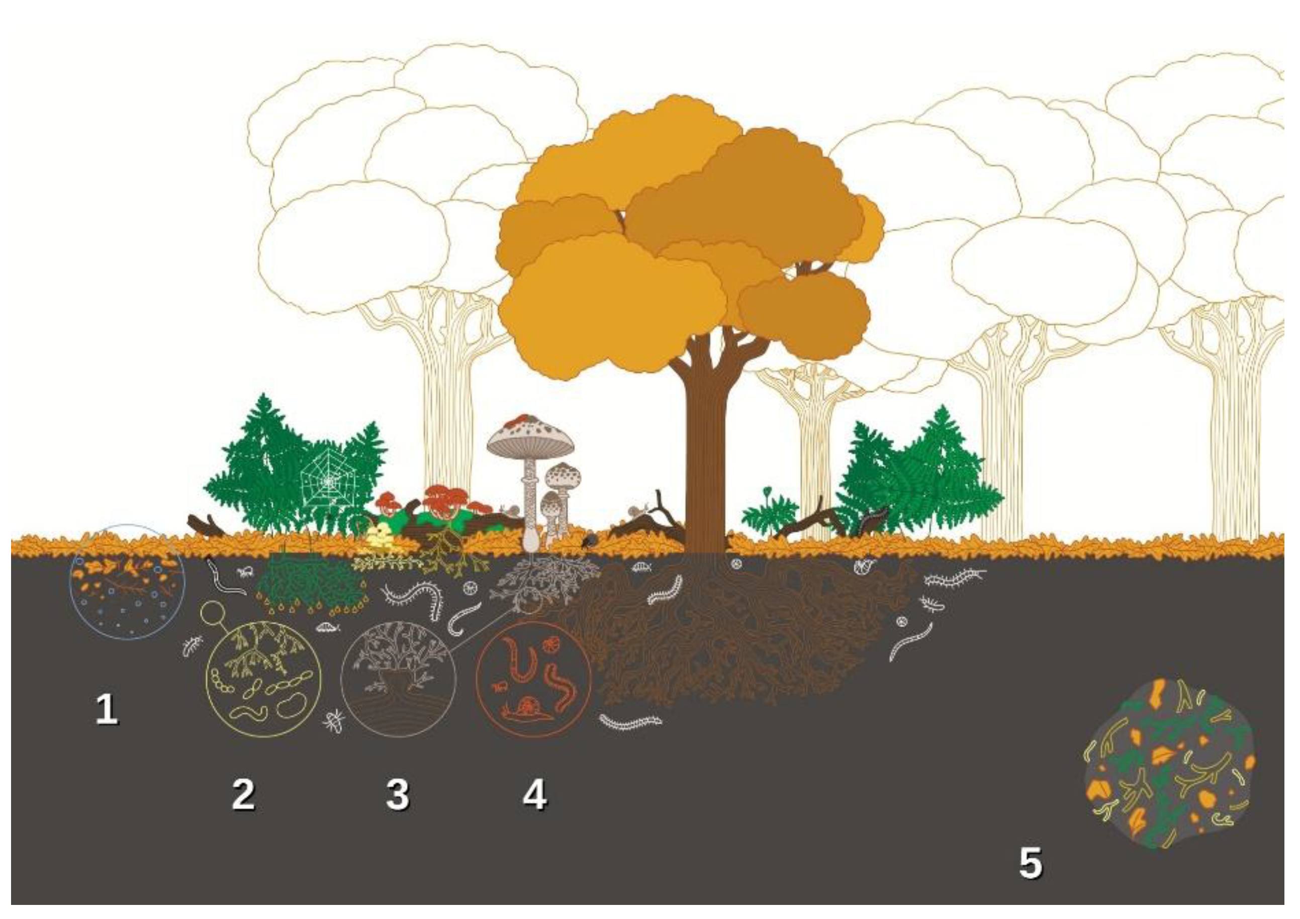 Preprints 171206 g004