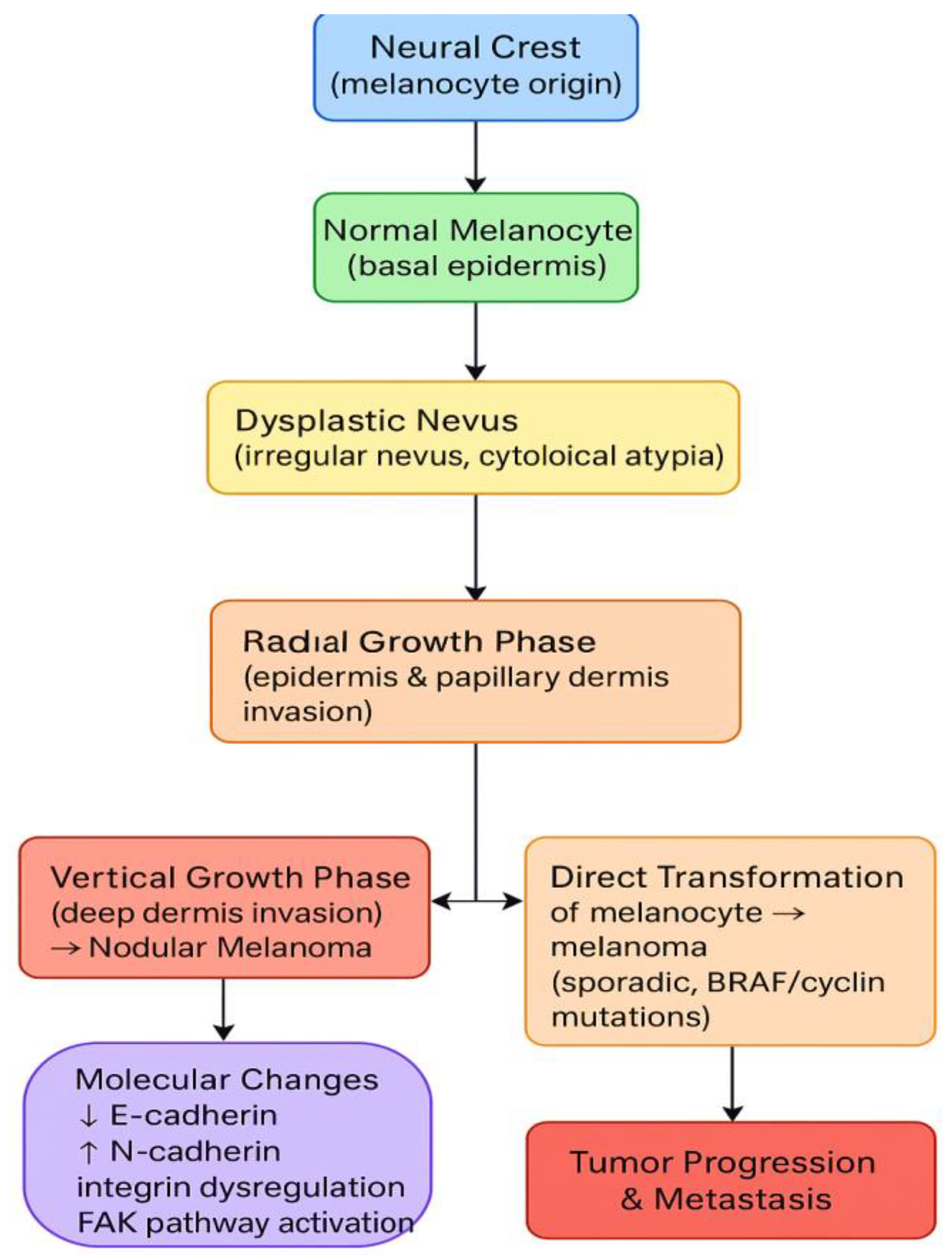 Preprints 190862 g002