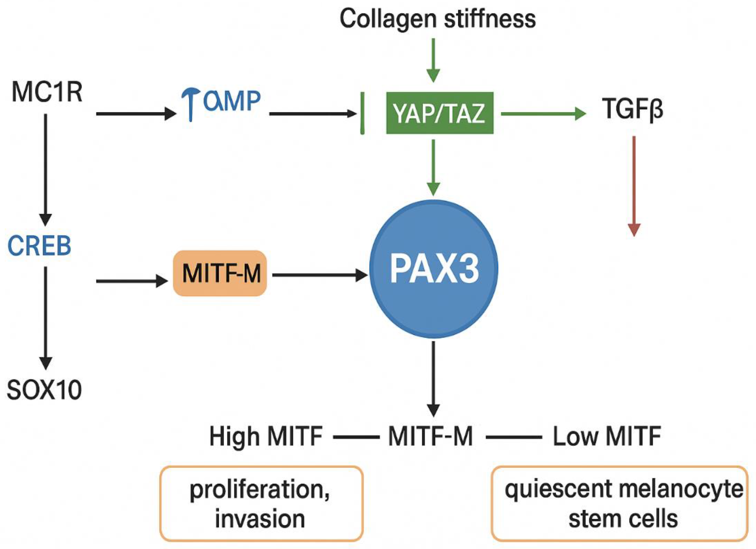 Preprints 190862 g003