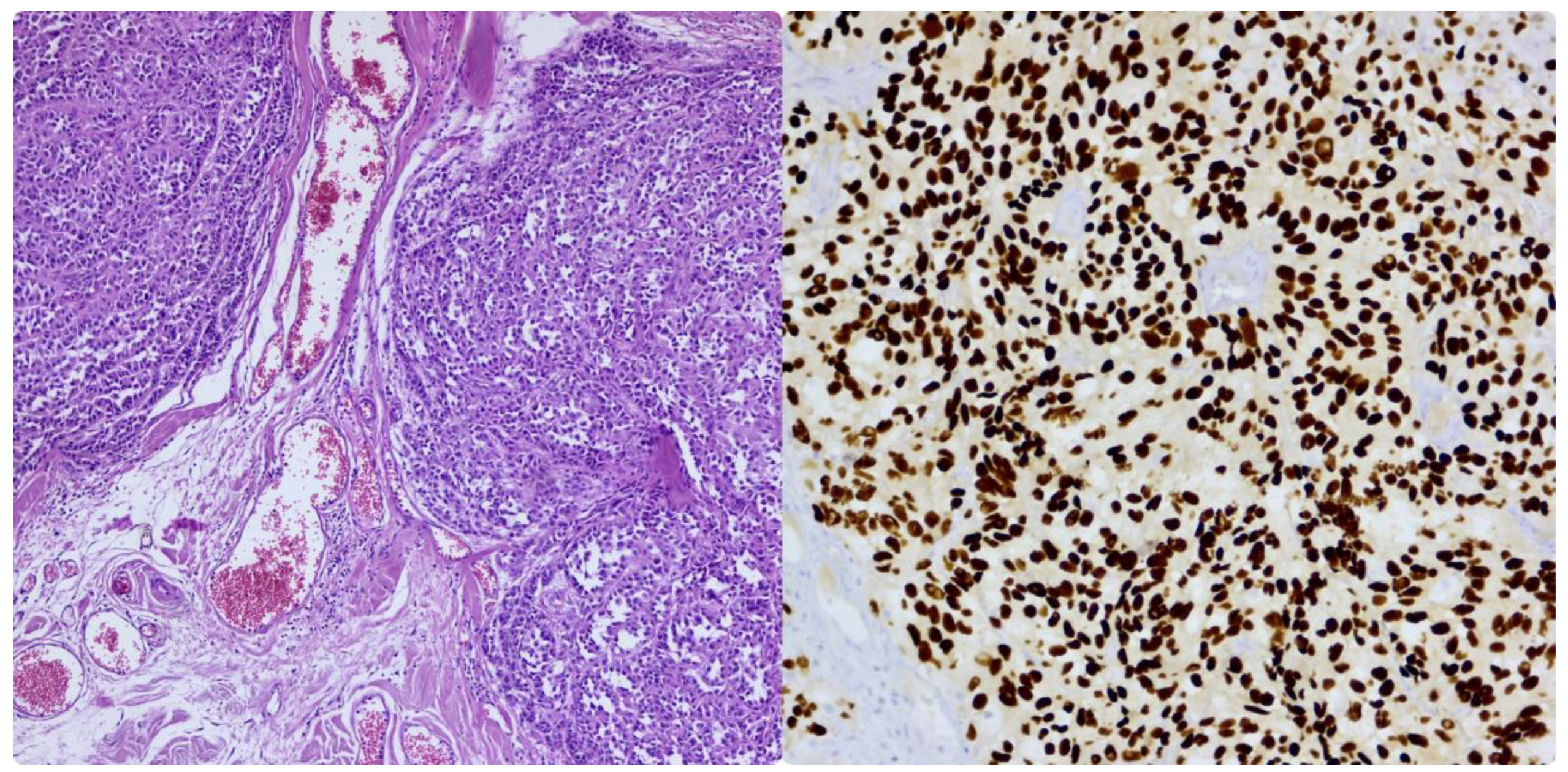 Preprints 190862 g004