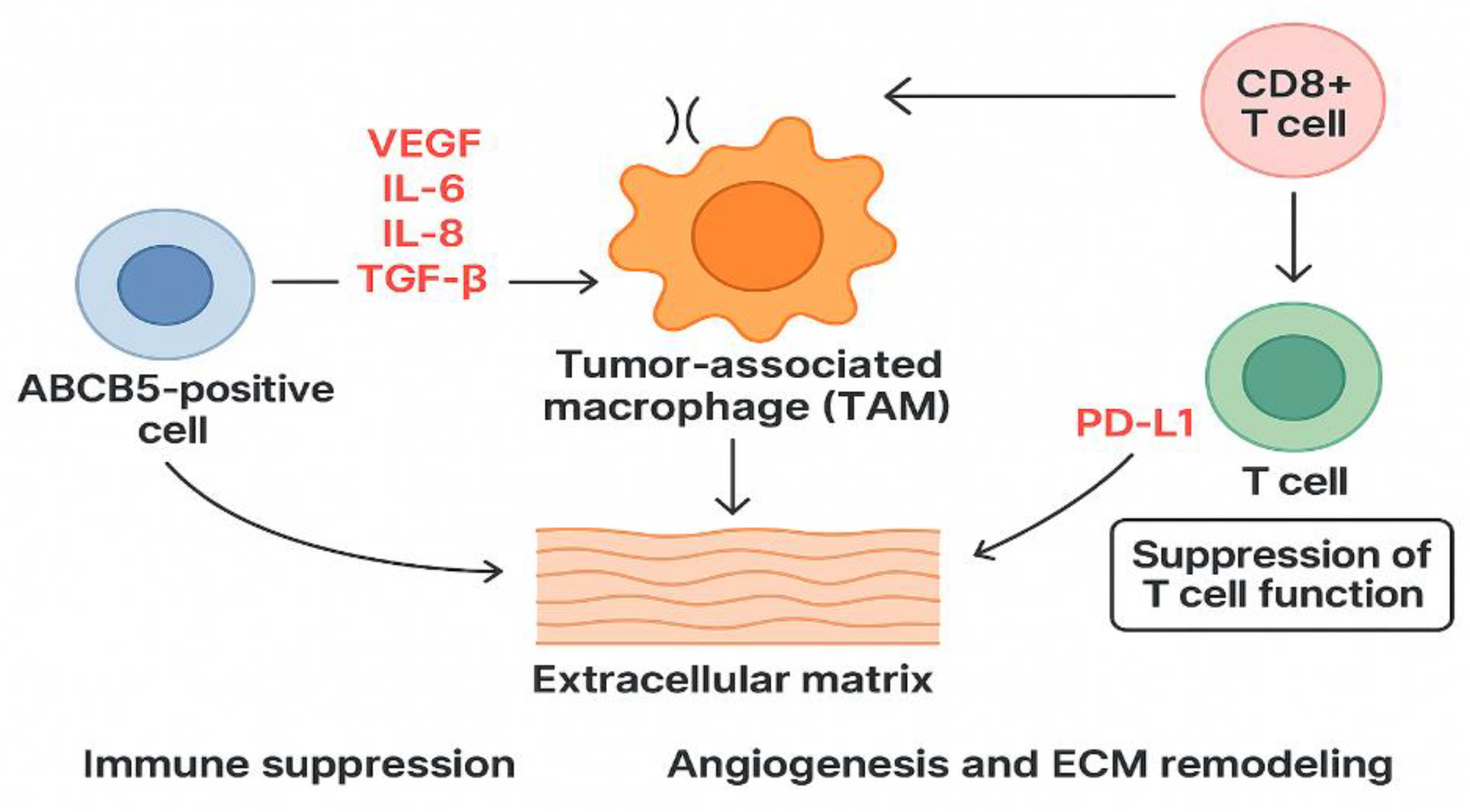 Preprints 190862 g005