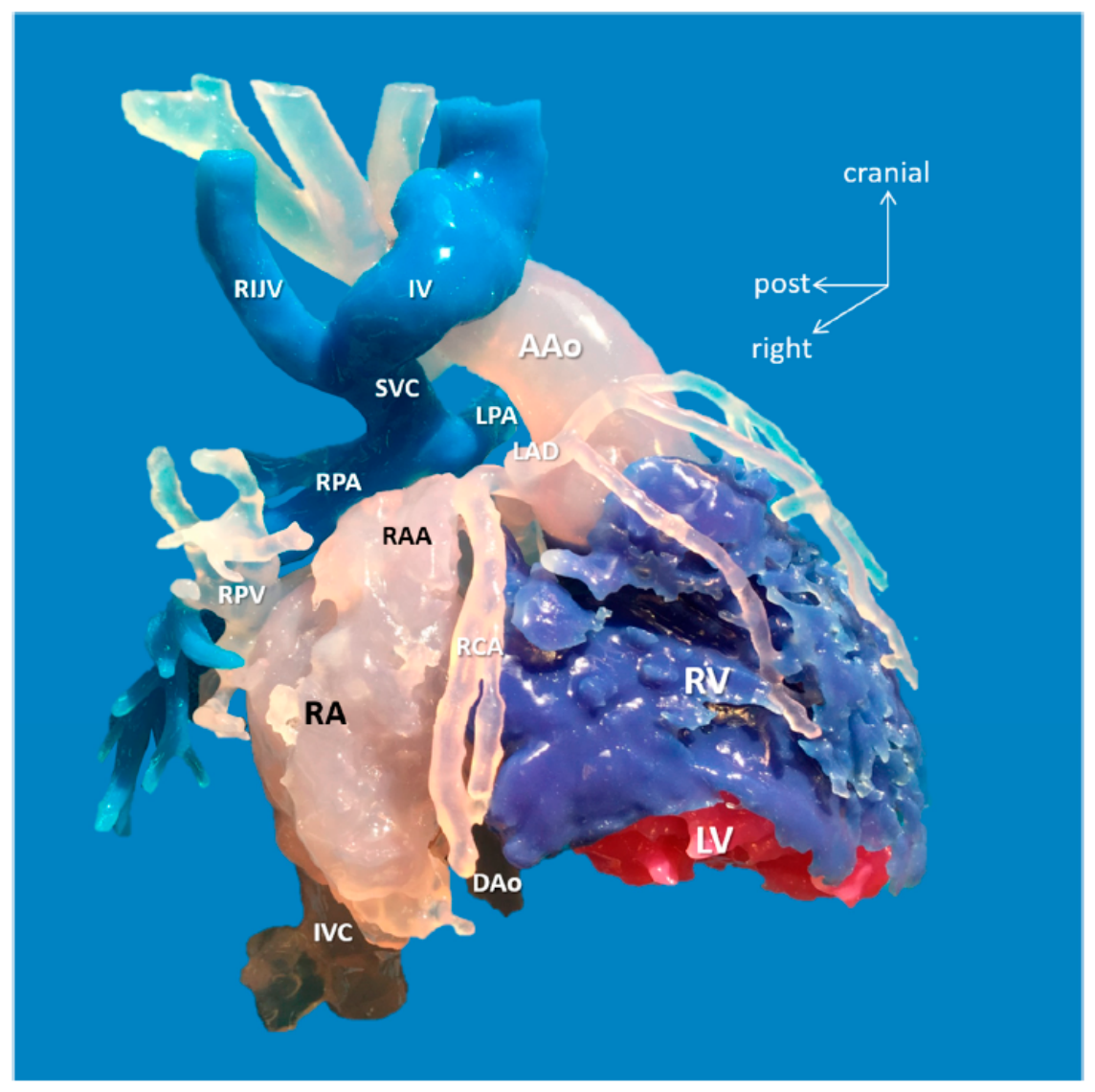 Preprints 218887 g004