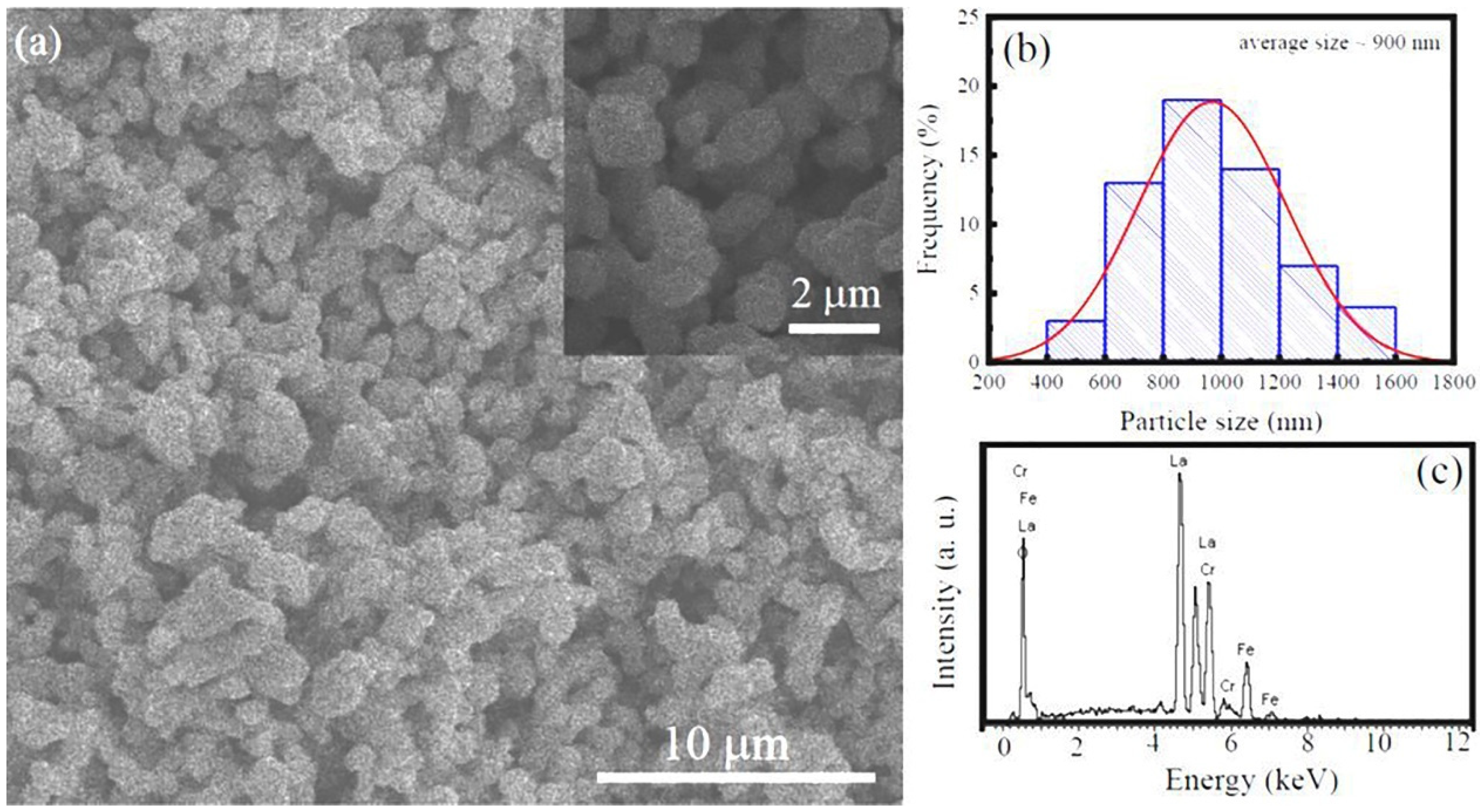 Preprints 91150 g002